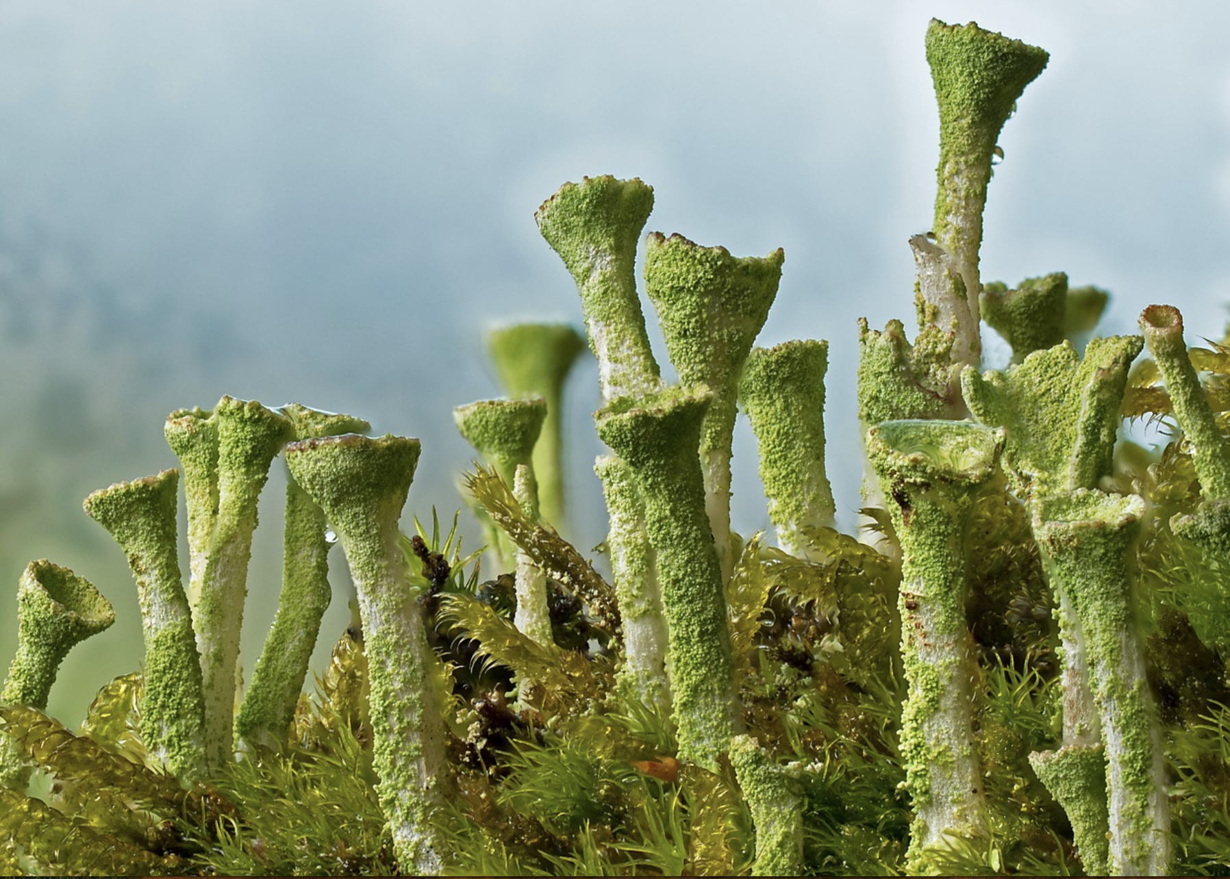 Changing perspectives