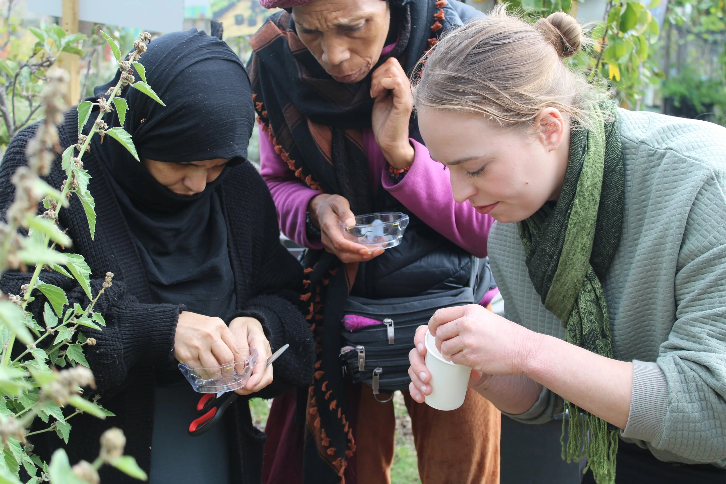 Somers Town Gardening Club
