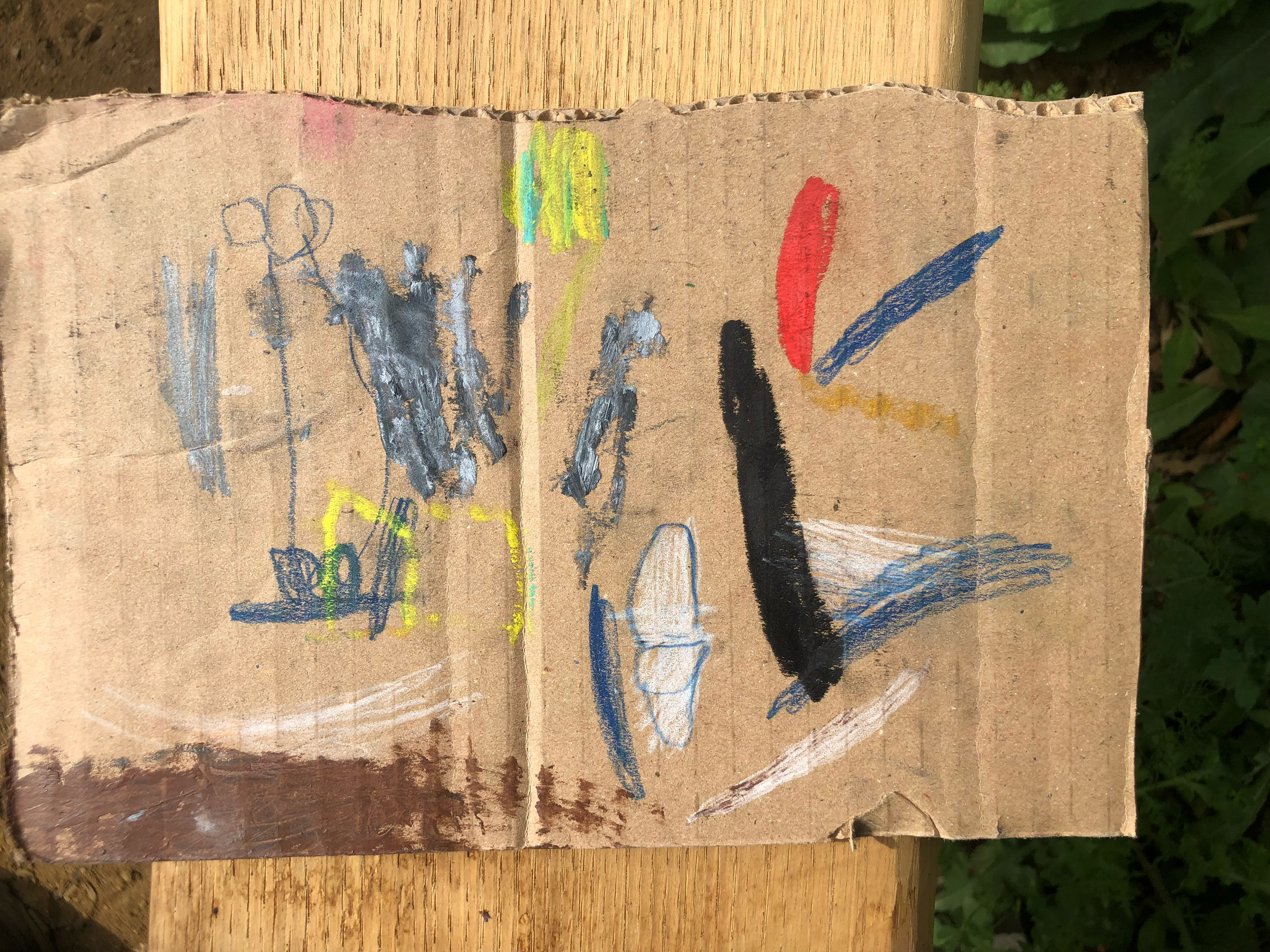 IMG_6558.png
