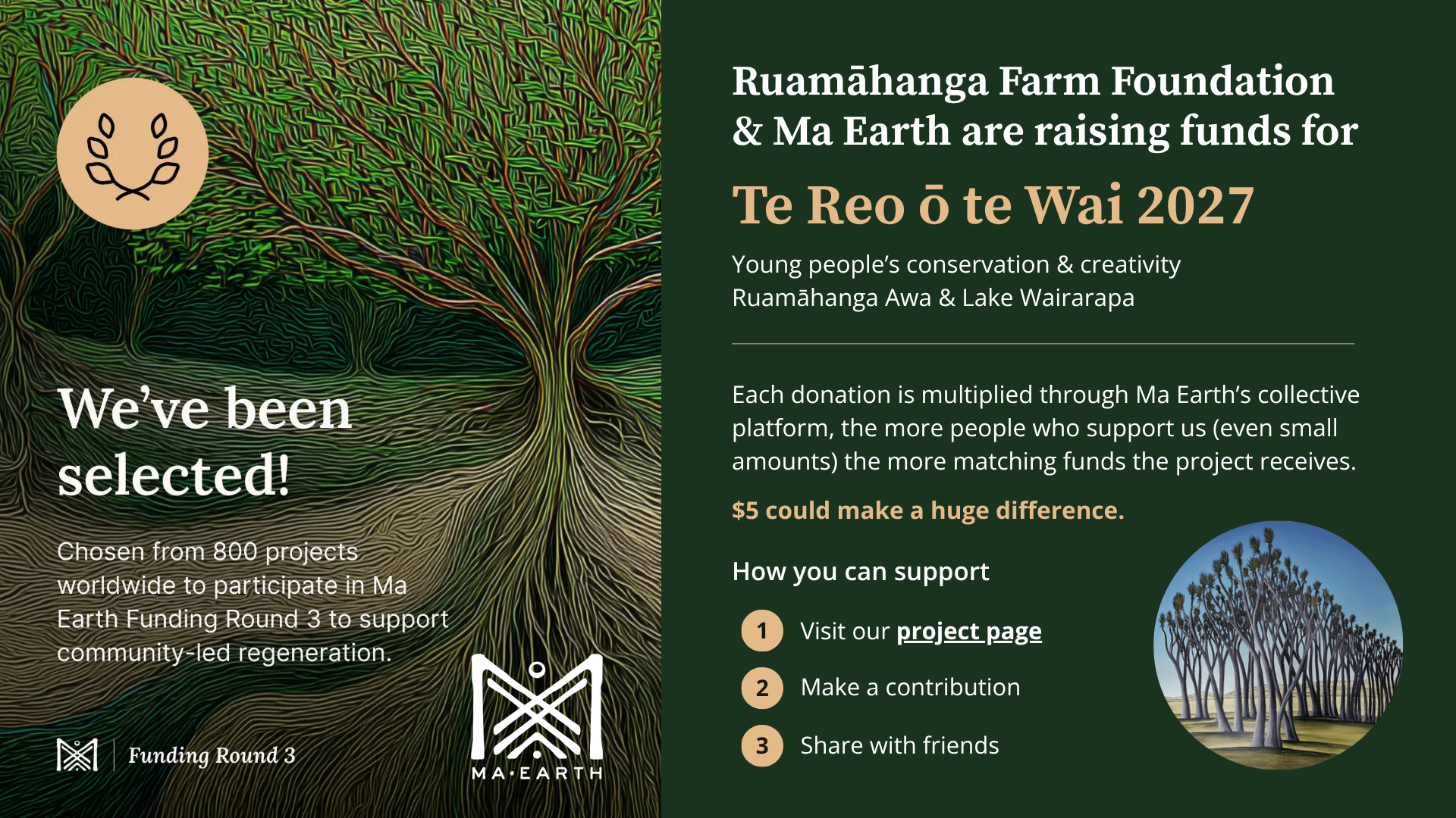 A poster explaining that the foundation are raising funds and how to contribute to the project.