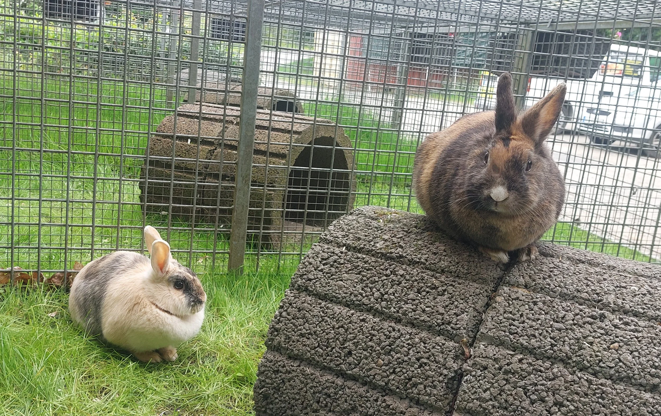 Hanni und Nanni