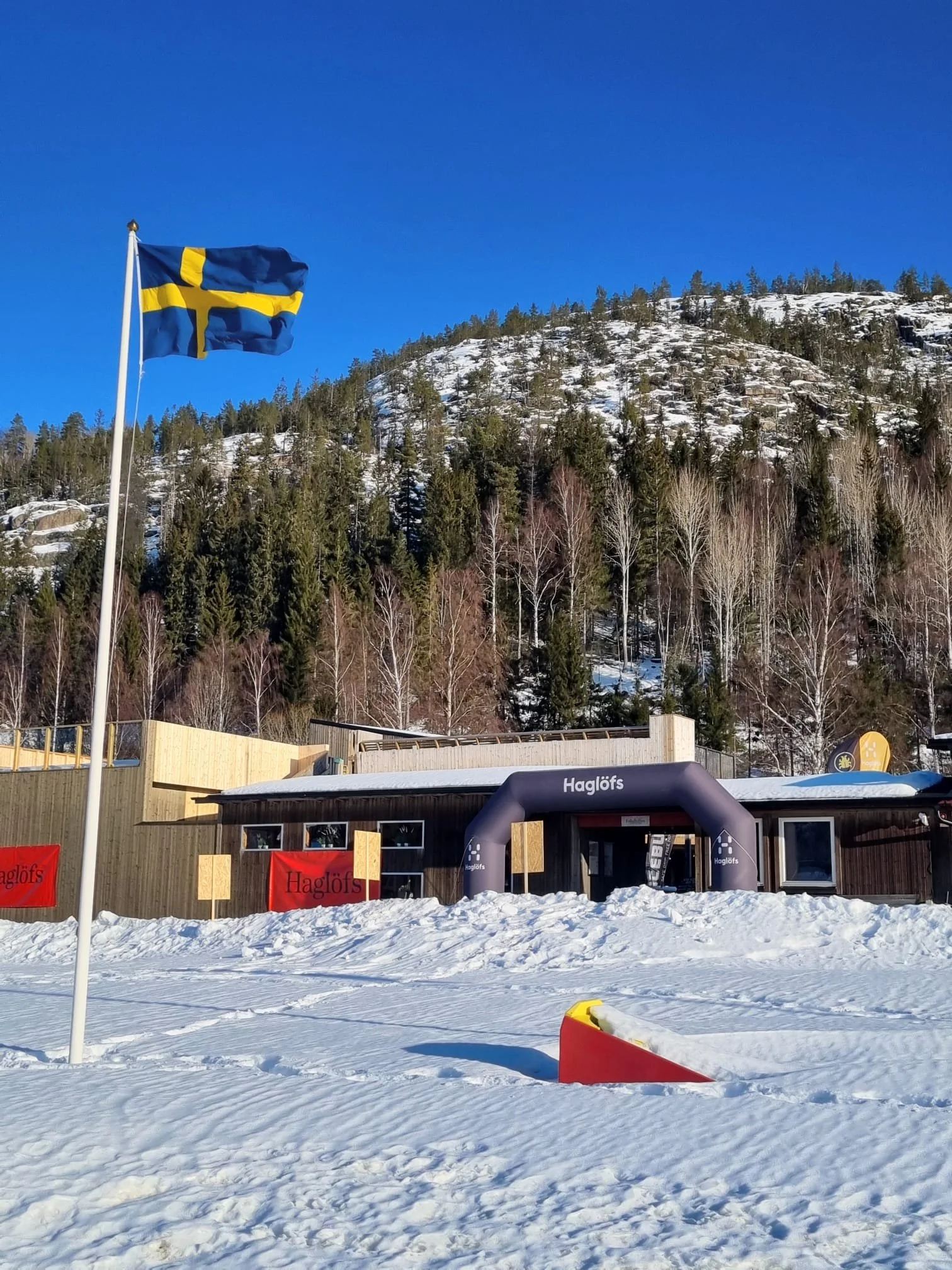 Zweedse vlag