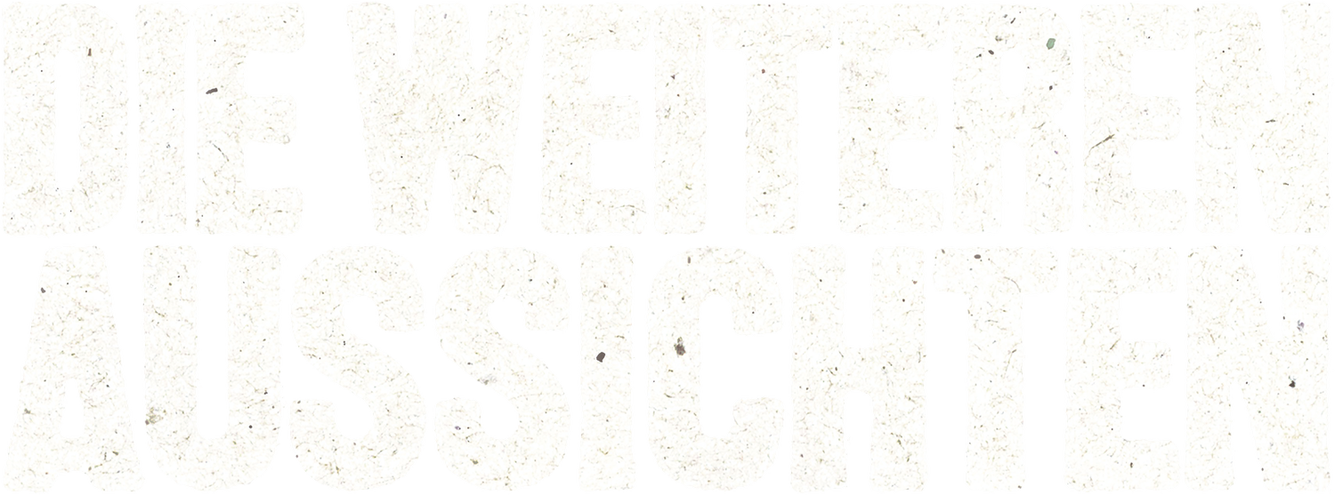 DIE WEITEREN AUSSICHTEN