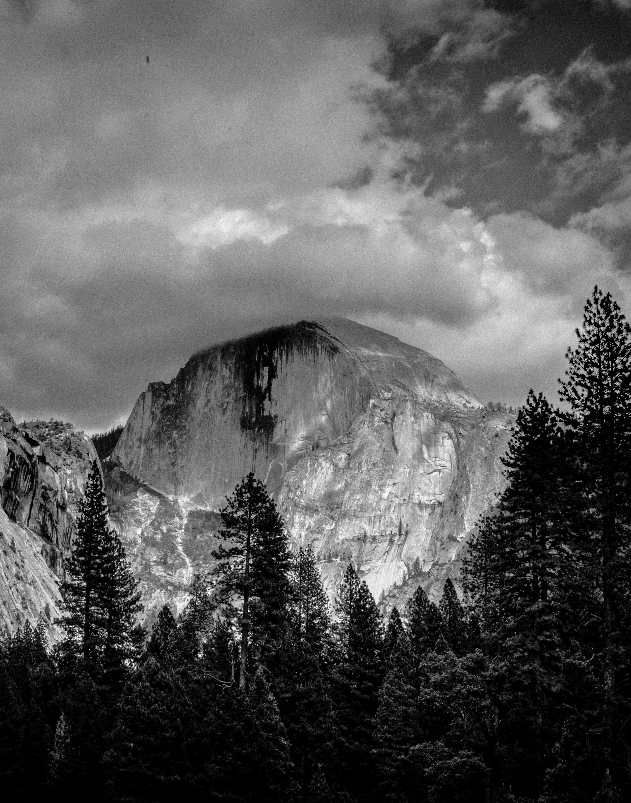 DSC_2747-Edit.jpg