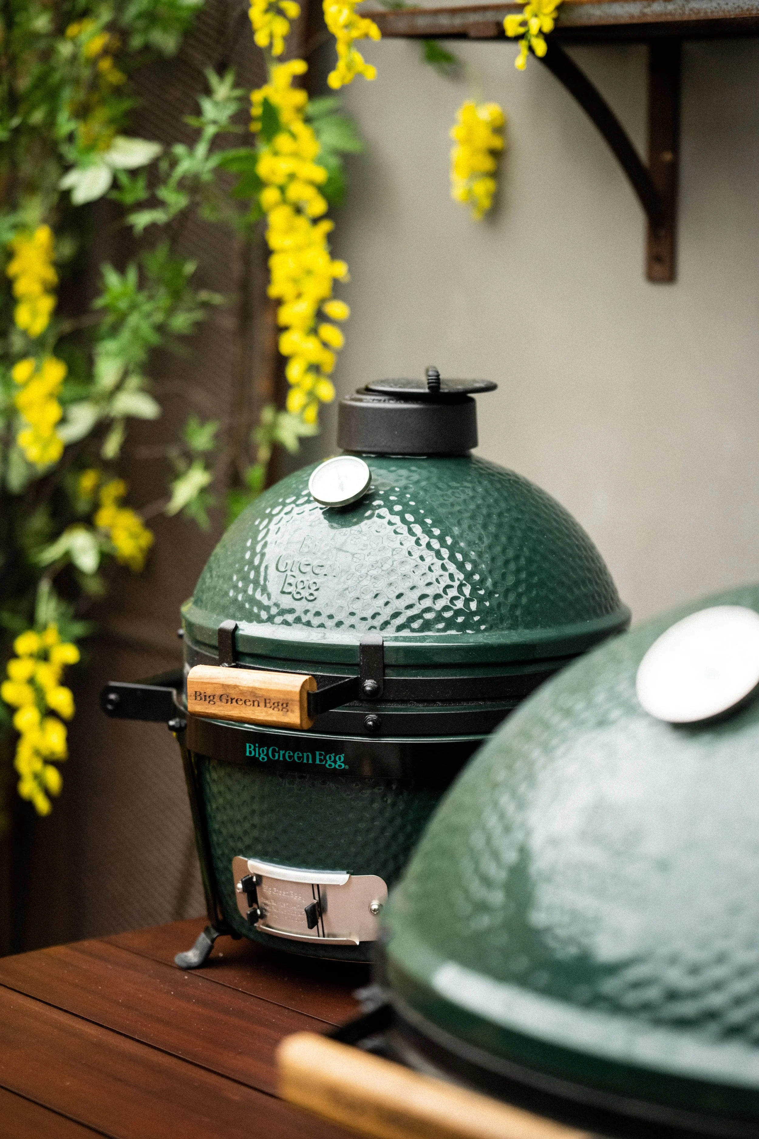 MiniMax EGG - Mahogany Table.jpg