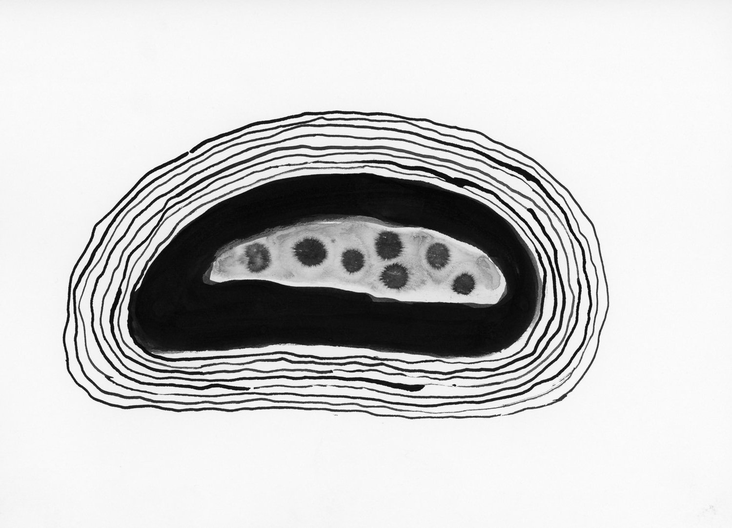 Ink on paper, 30*30, 2017