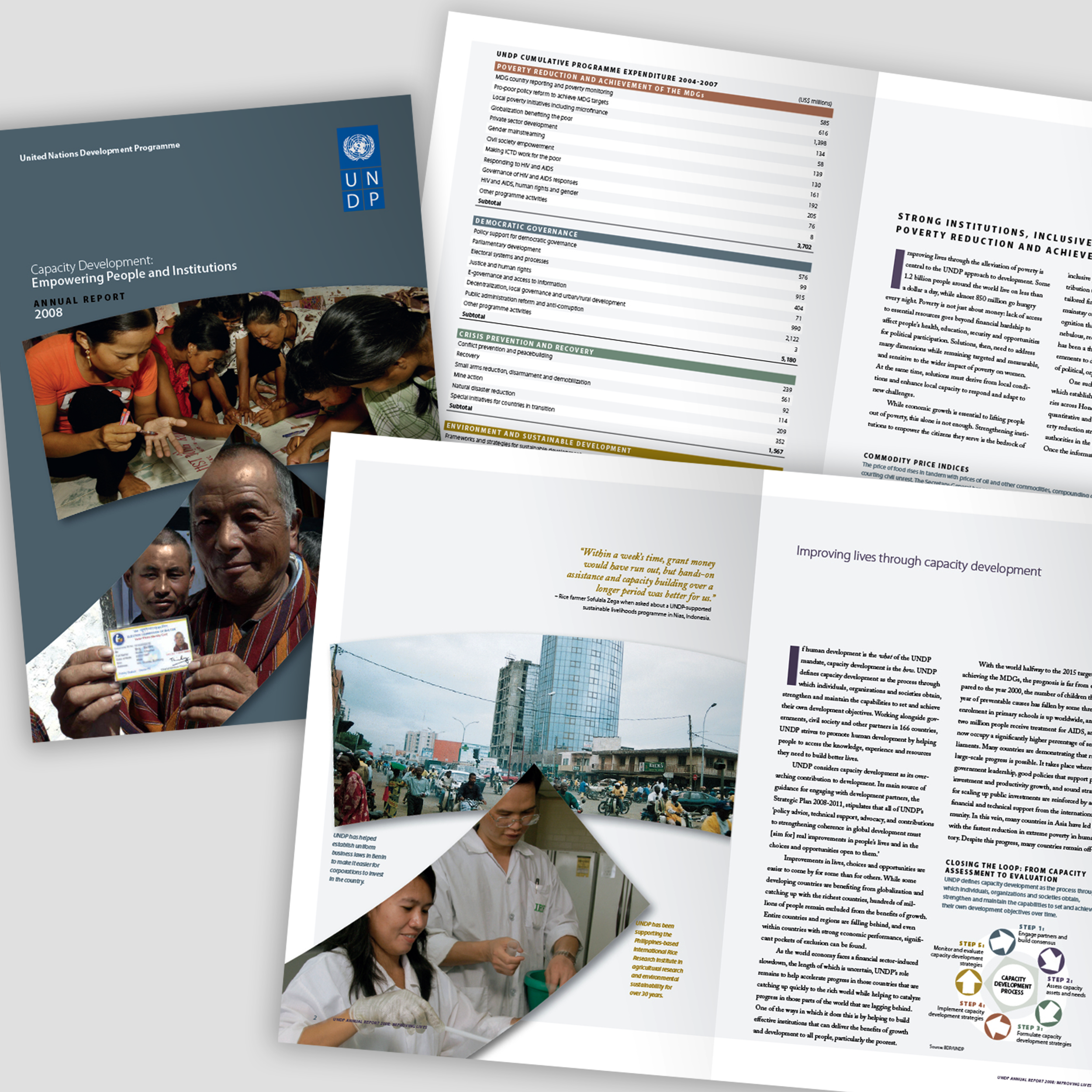 UNDP_2008_AnnualReport_2x.png