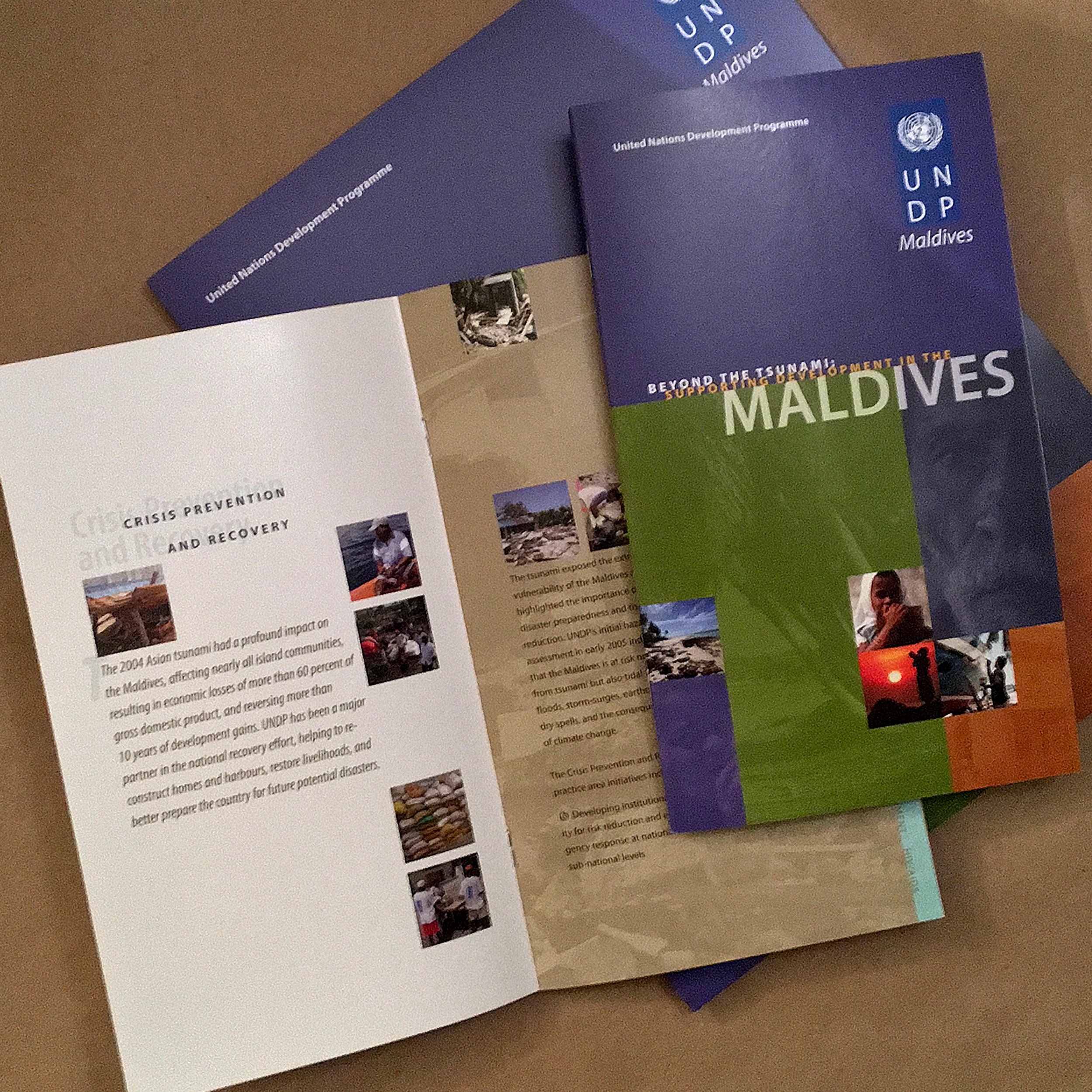 UNDP_Maldives_beyond_brochure_2x.png