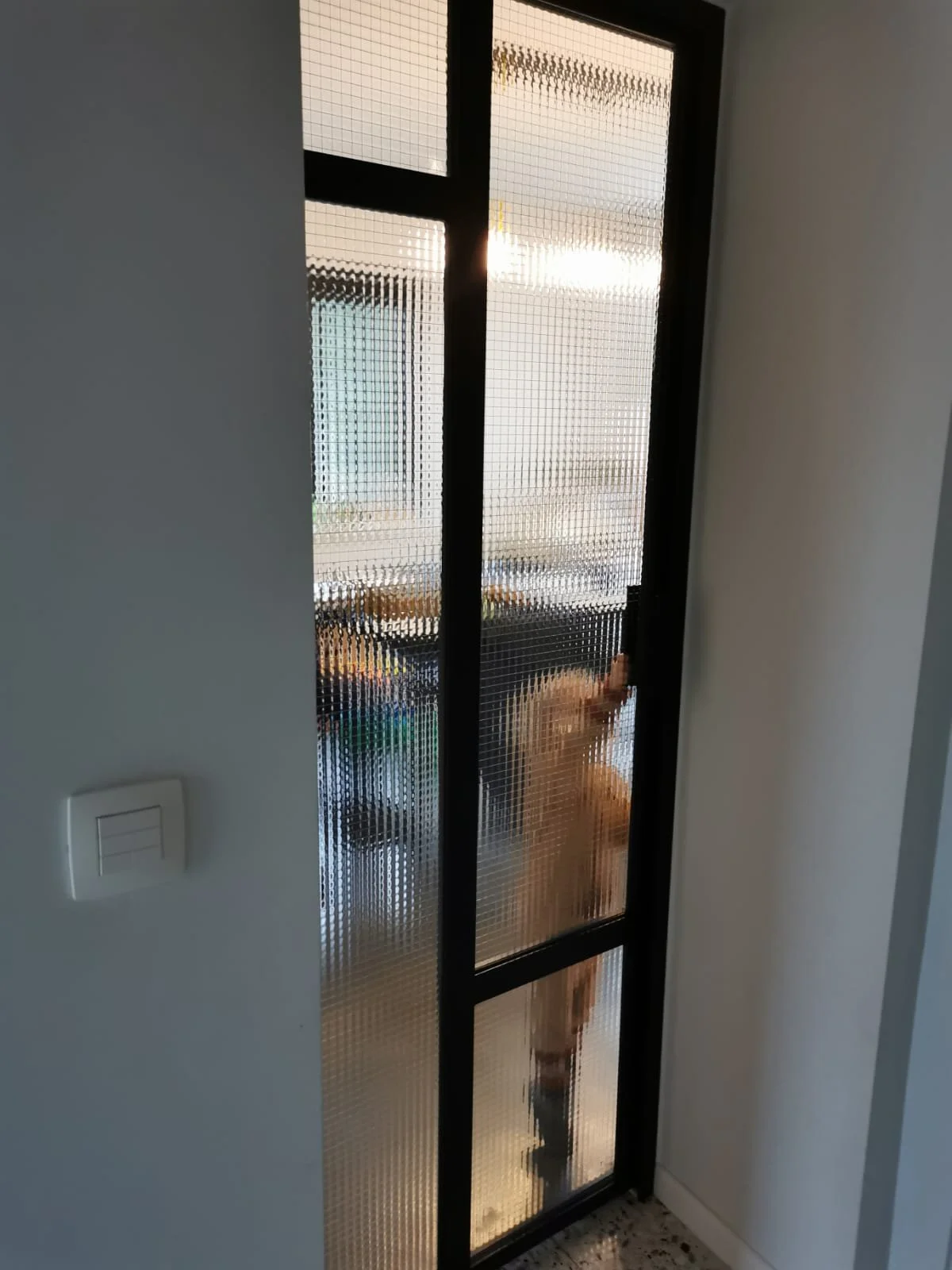 Stalen scharnierdeur met een atypische onderverdeling, draadglas, rolslot en handgreep