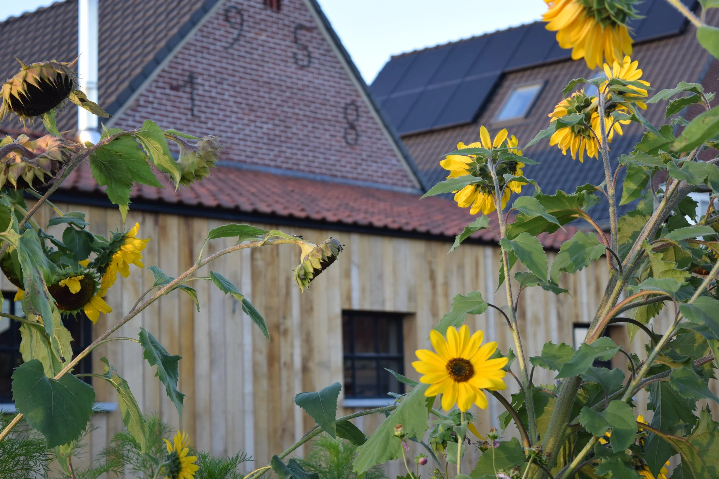 gevelanker op woning