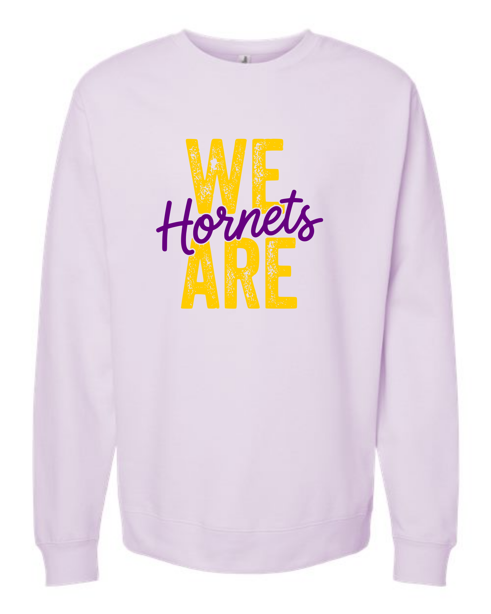 hornets_image34.png