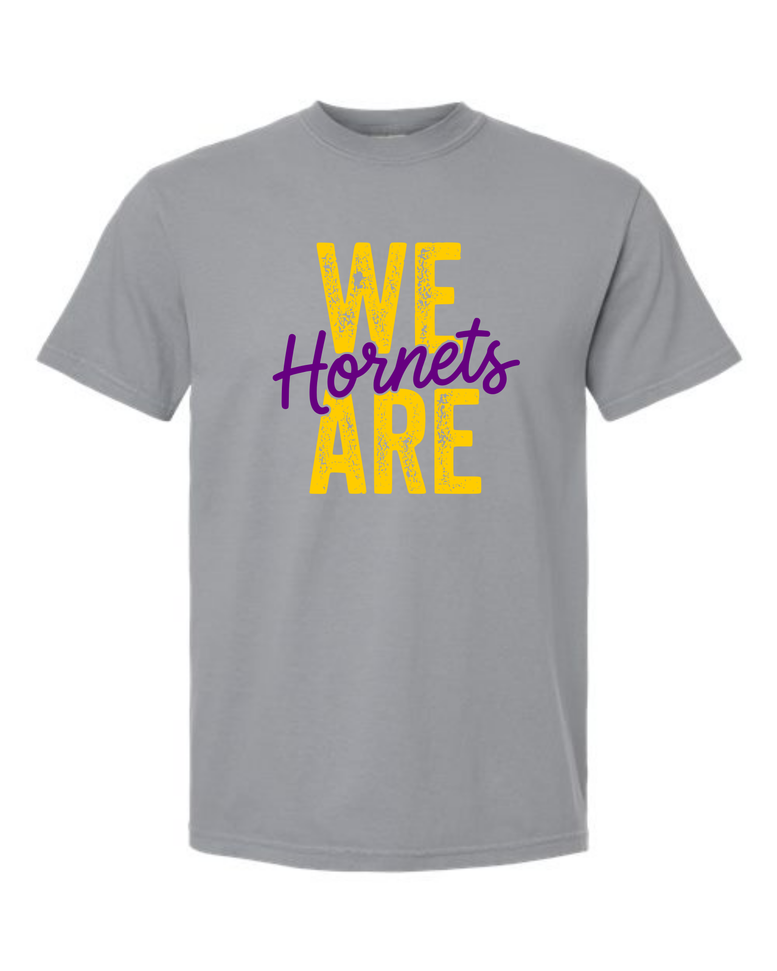 hornets_image13.png