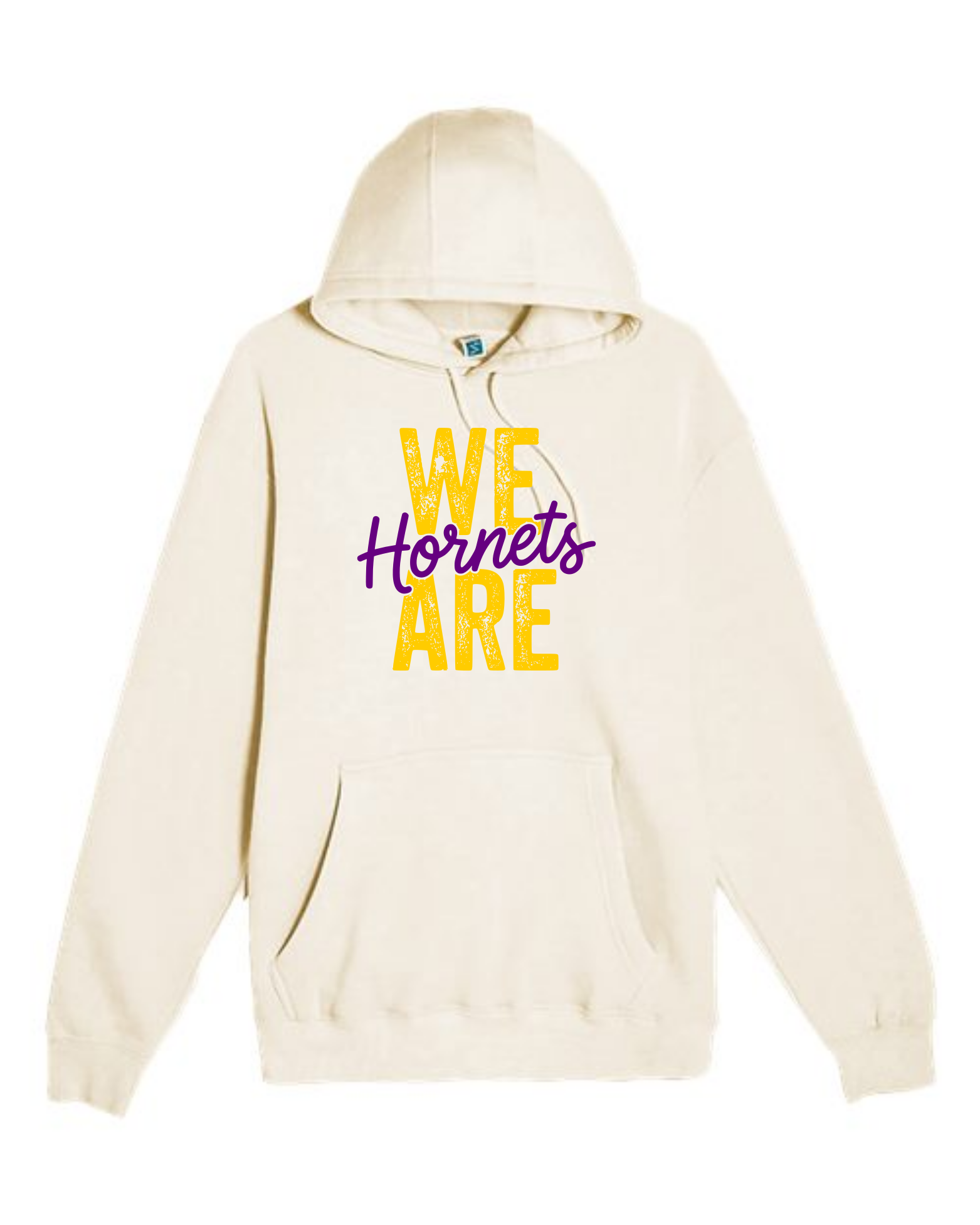 hornets_image41.png