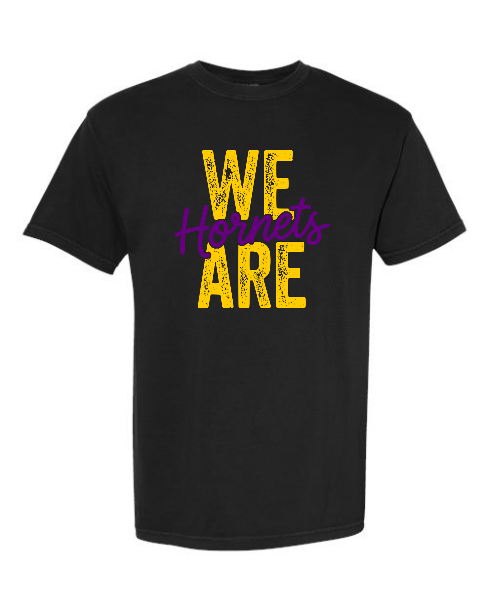 hornets_image10.png
