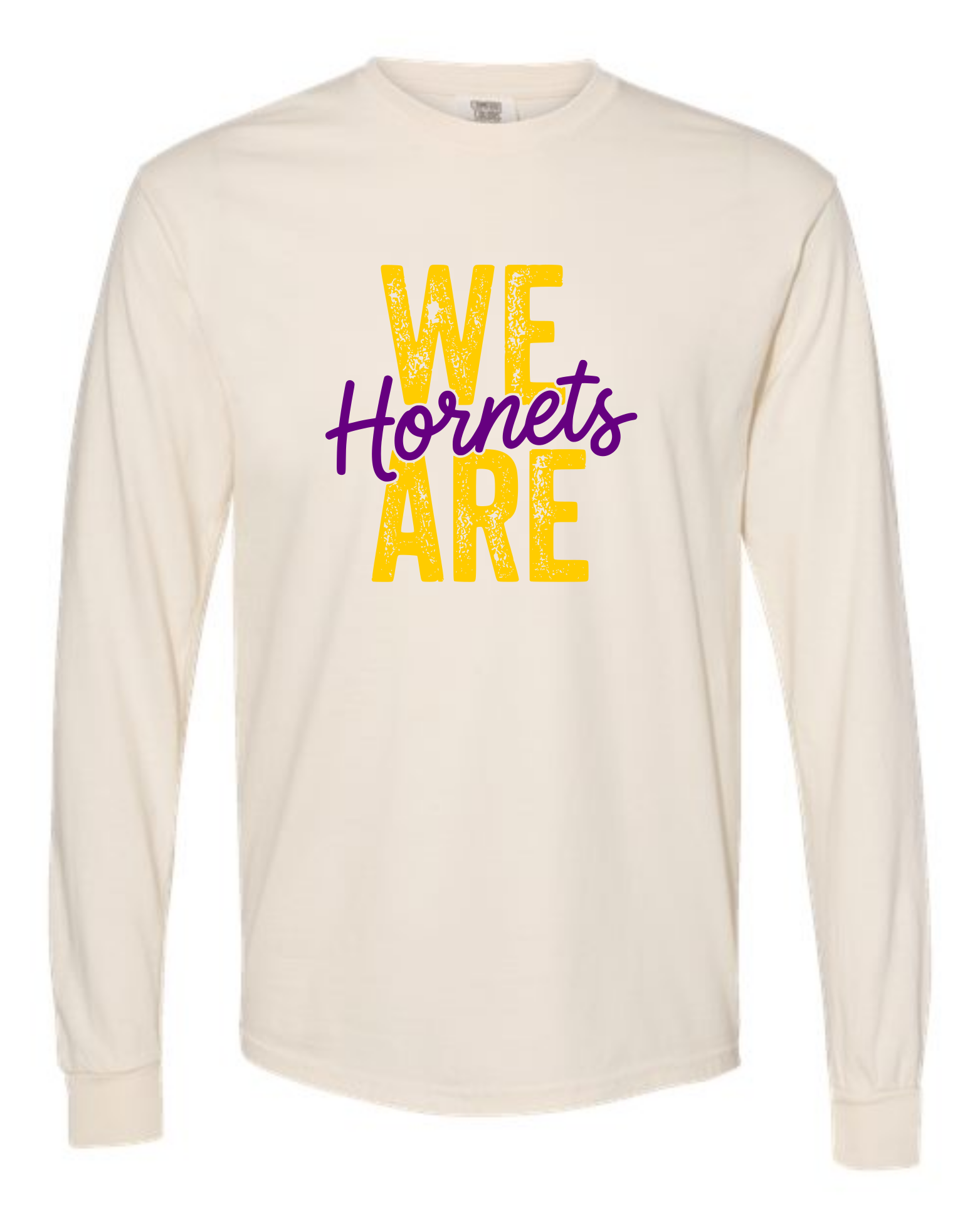 hornets_image18.png