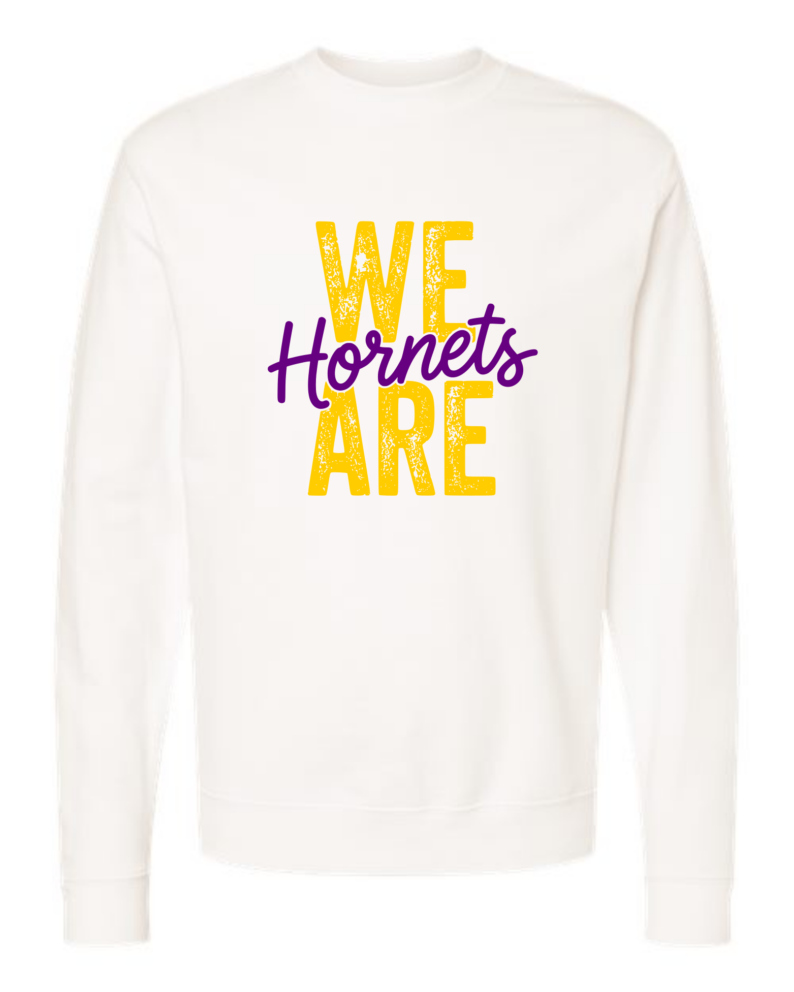 hornets_image36.png