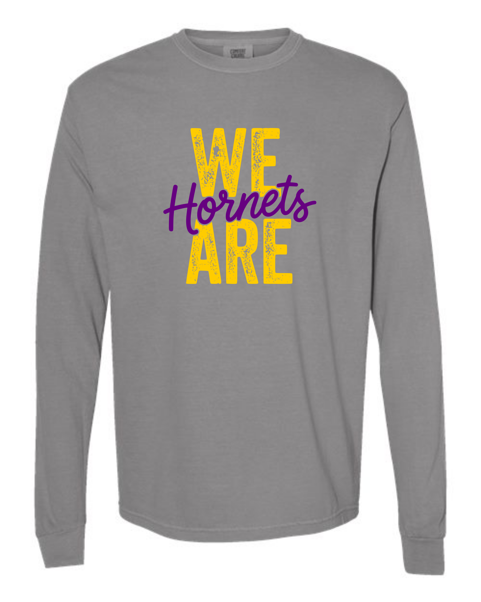 hornets_image19.png