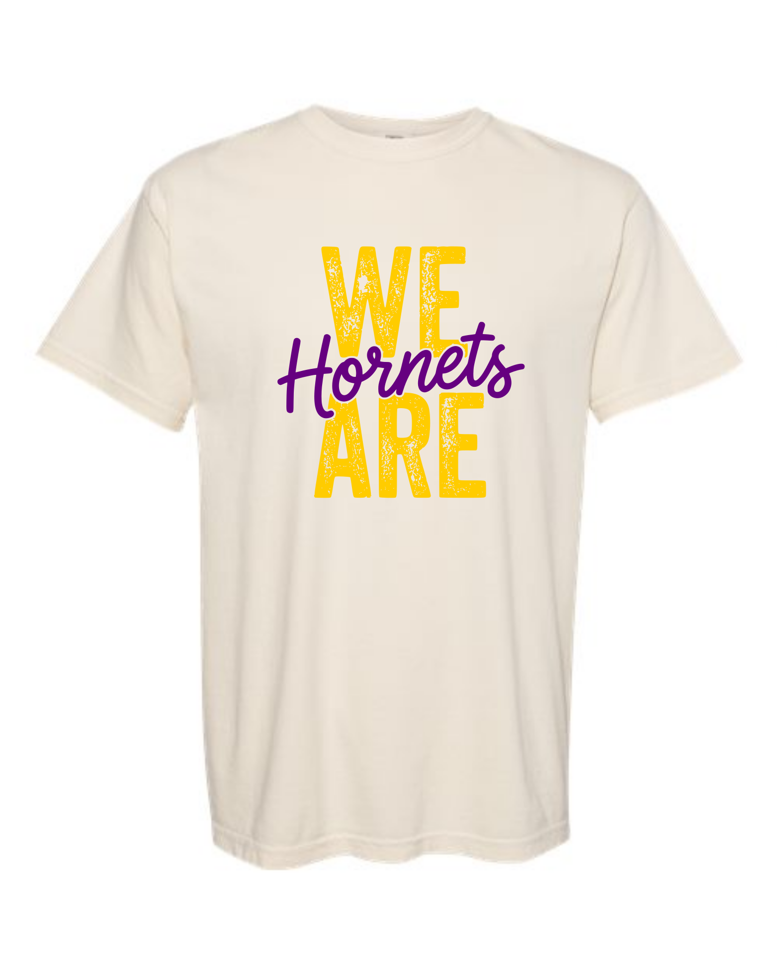 hornets_image11.png