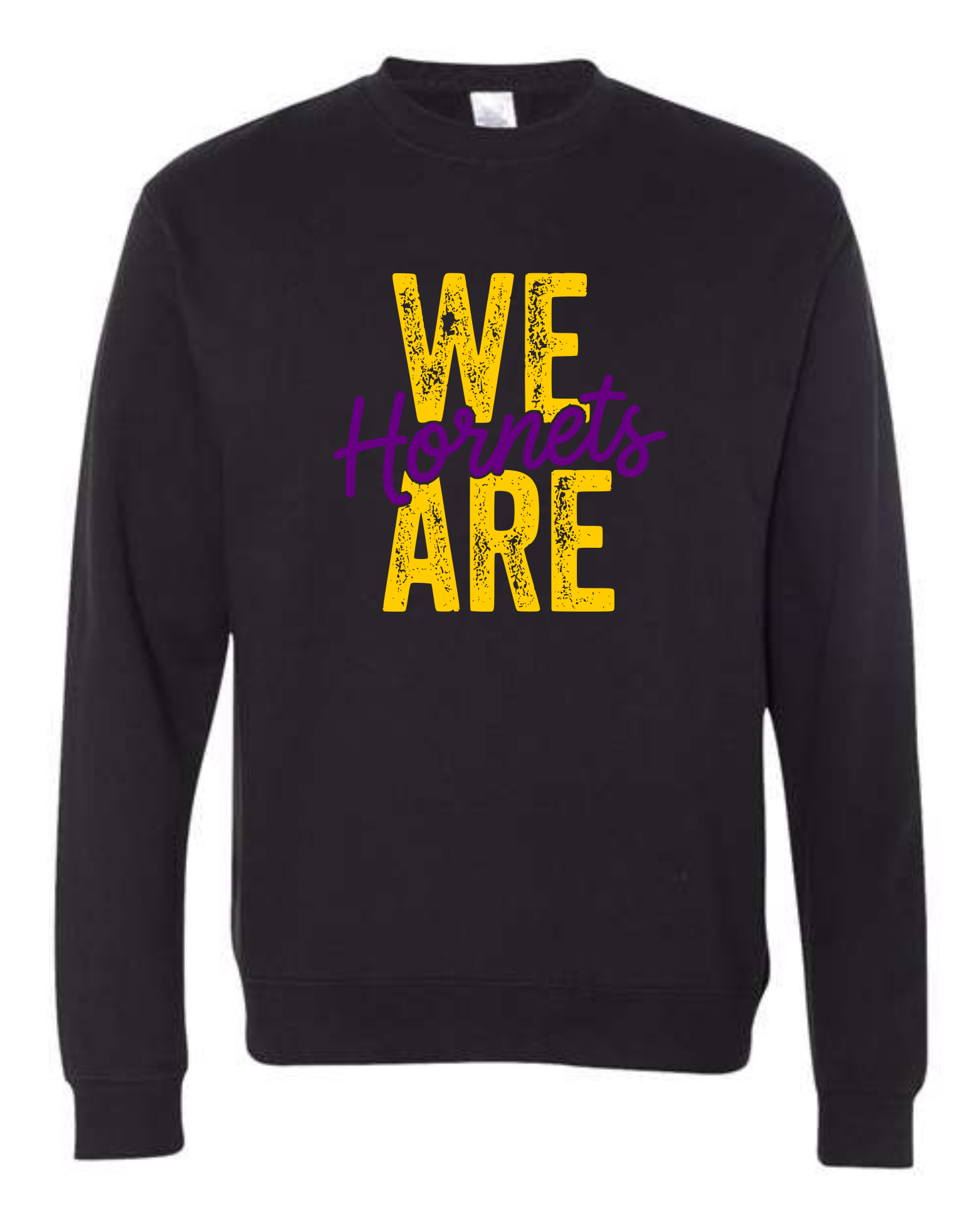 hornets_image37.png