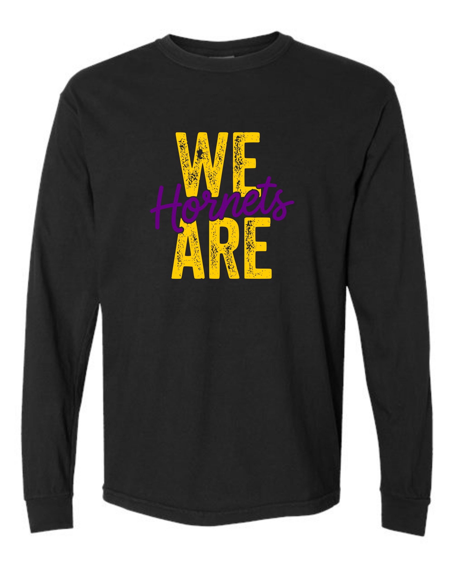 hornets_image14.png