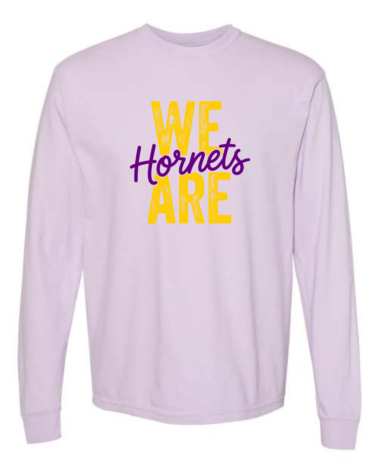 hornets_image20.png