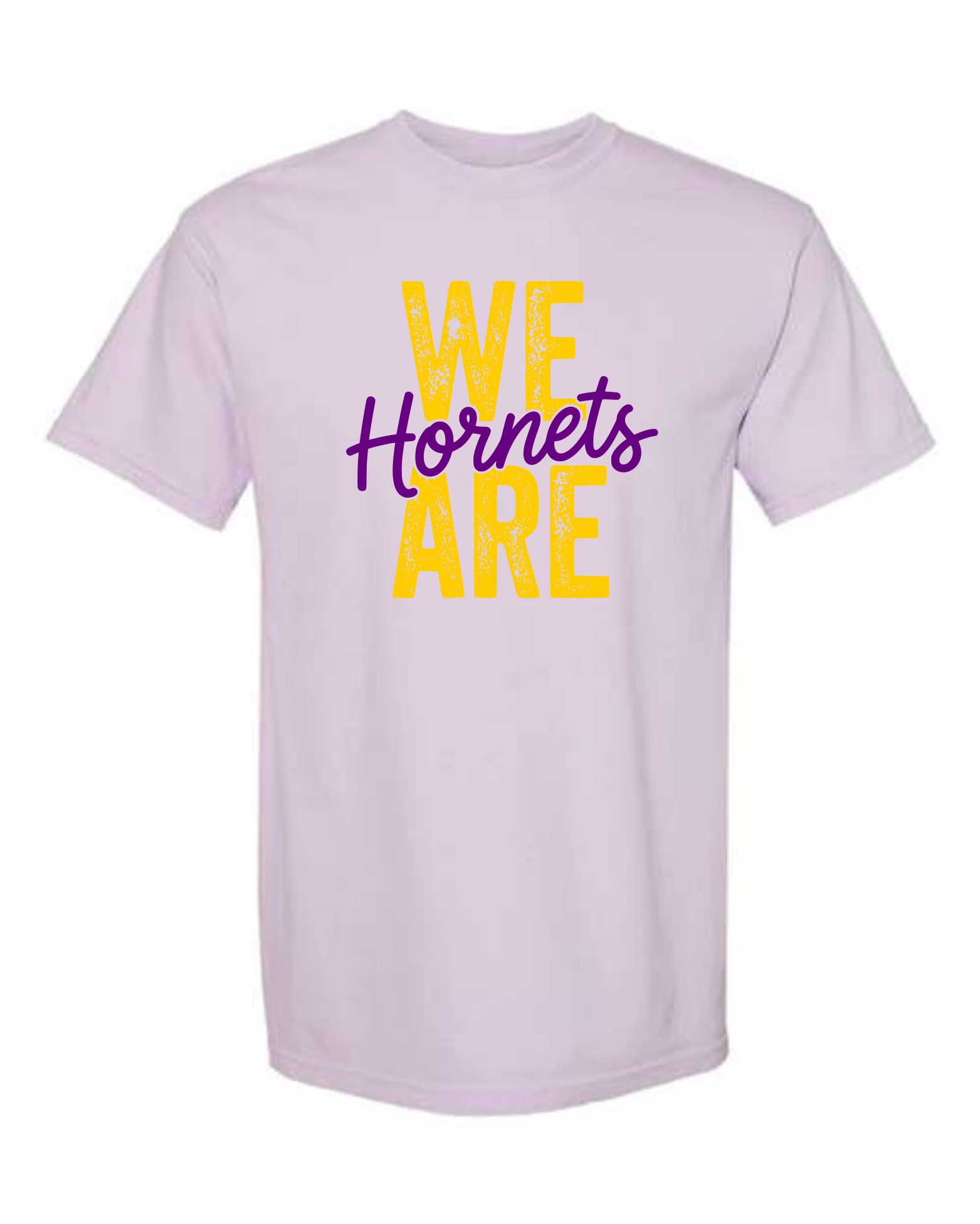 hornets_image12.png