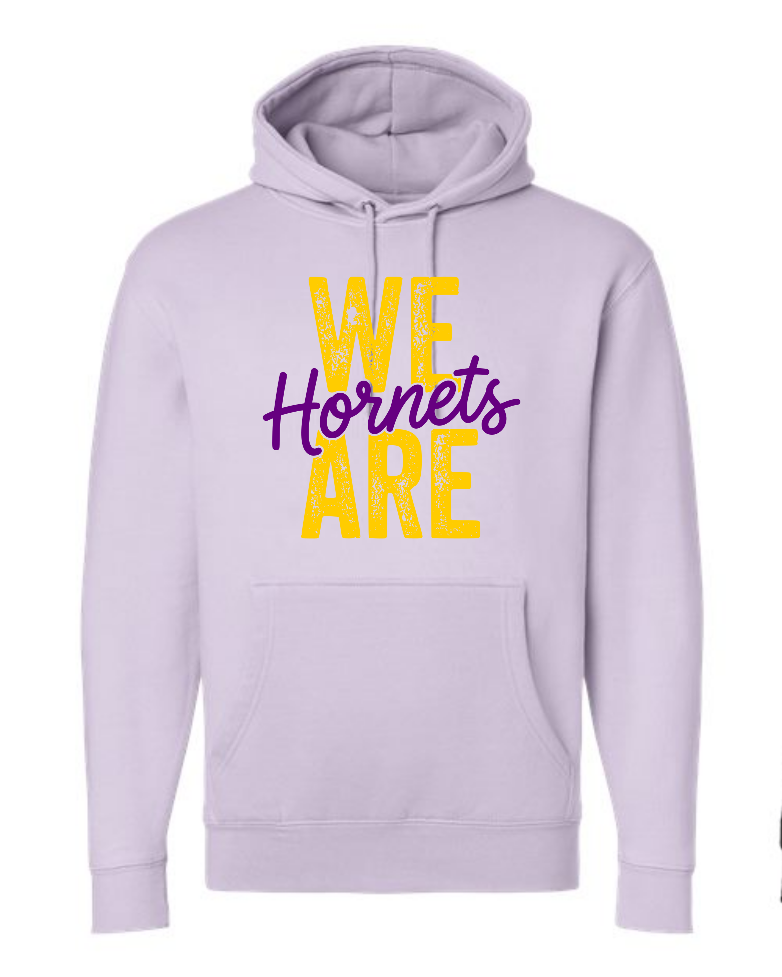 hornets_image38.png