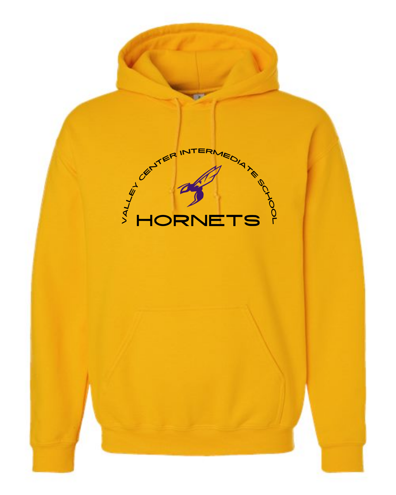VCIS Arched - Hoodie