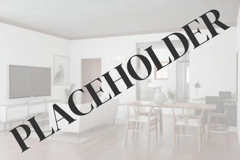 Project 3 Thumbnail Placeholder.jpg