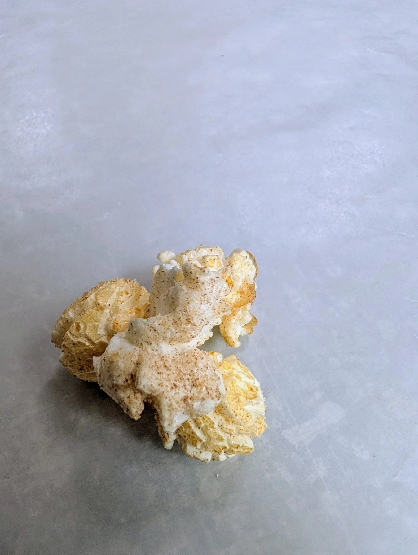 Close-up of three popped kernels of cinnamon sugar-coated kettle corn.