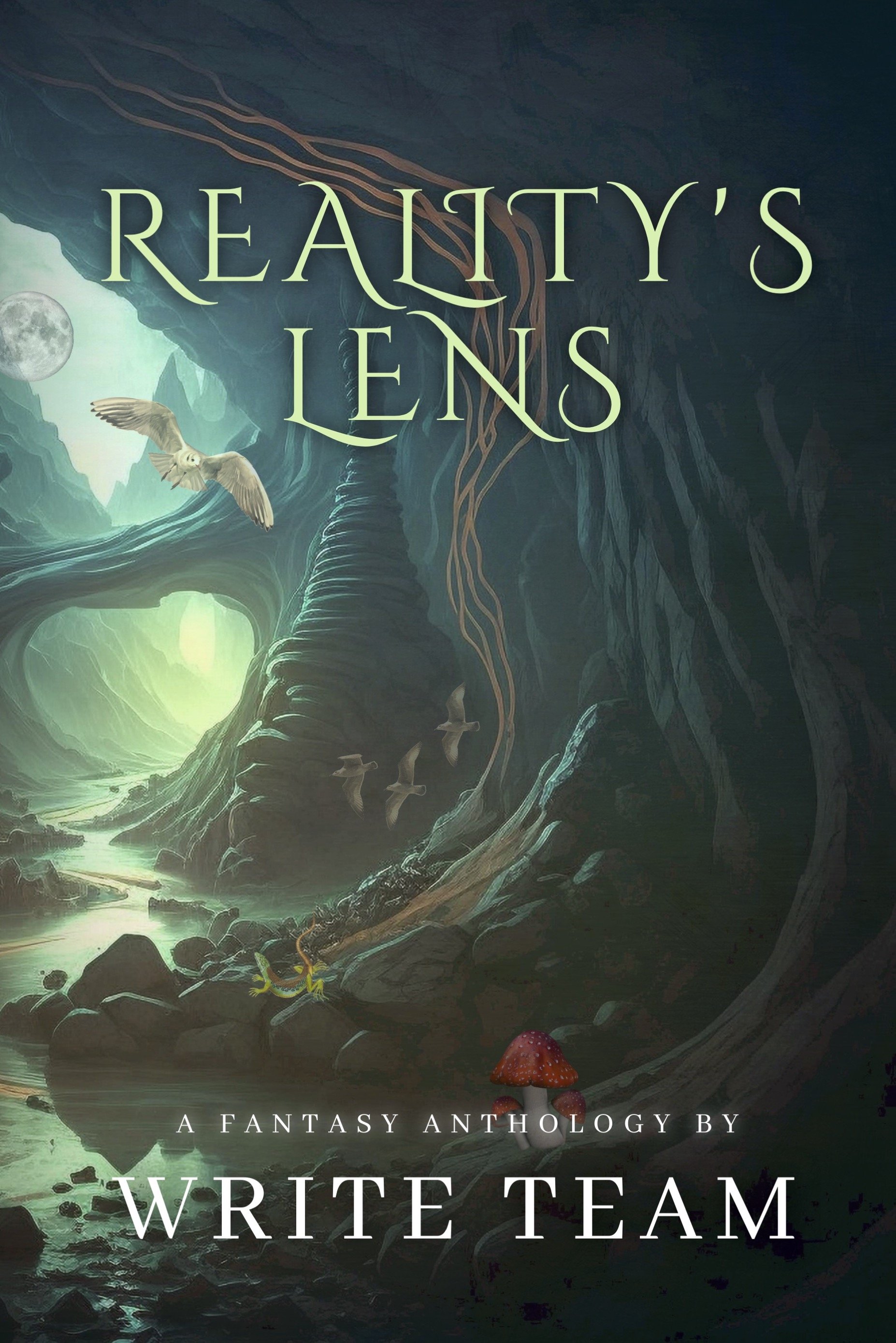 Reality's Lens Cover.jpg