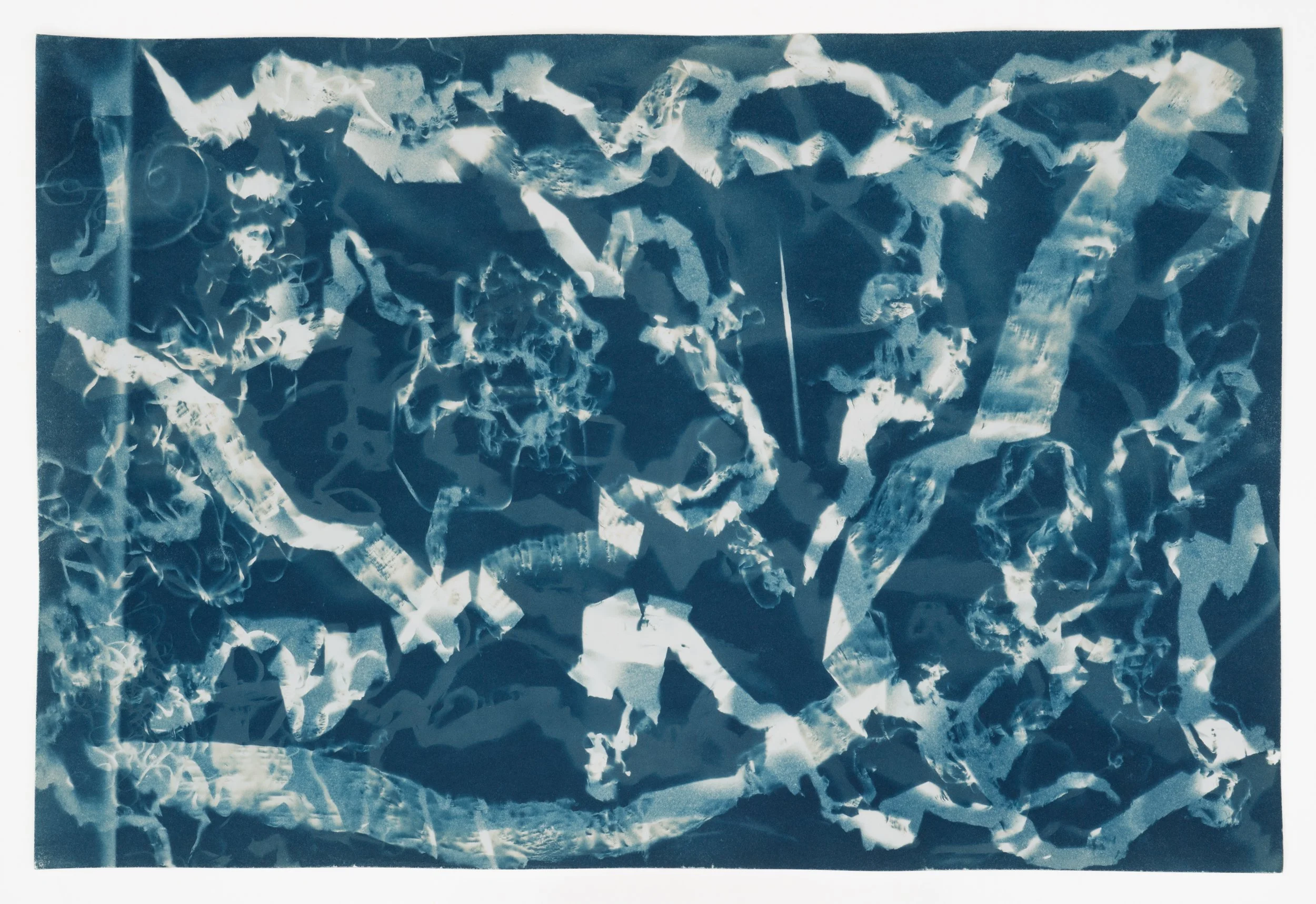   Doubled Grain (exposed 12.19/31.24)   cyanotype on paper   14 3/4 × 22”  2024 