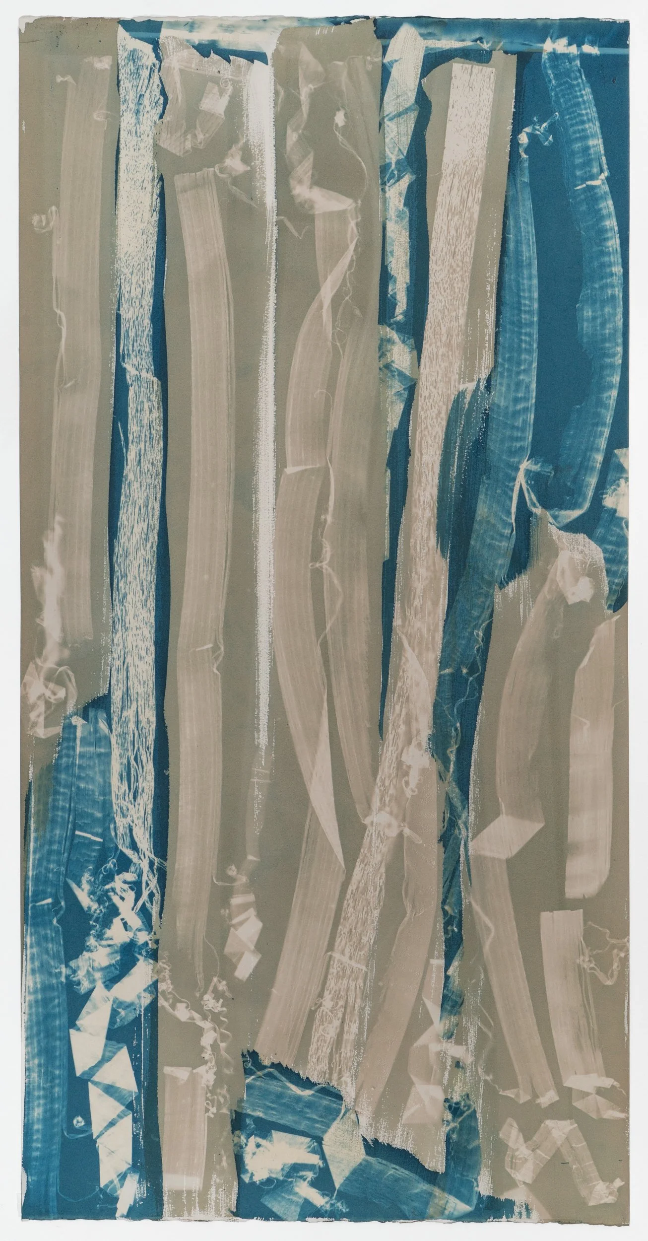 Doubled Grain (exposed 8.17/23.25) cyanotype on paper 42 × 21 3/8” 2025