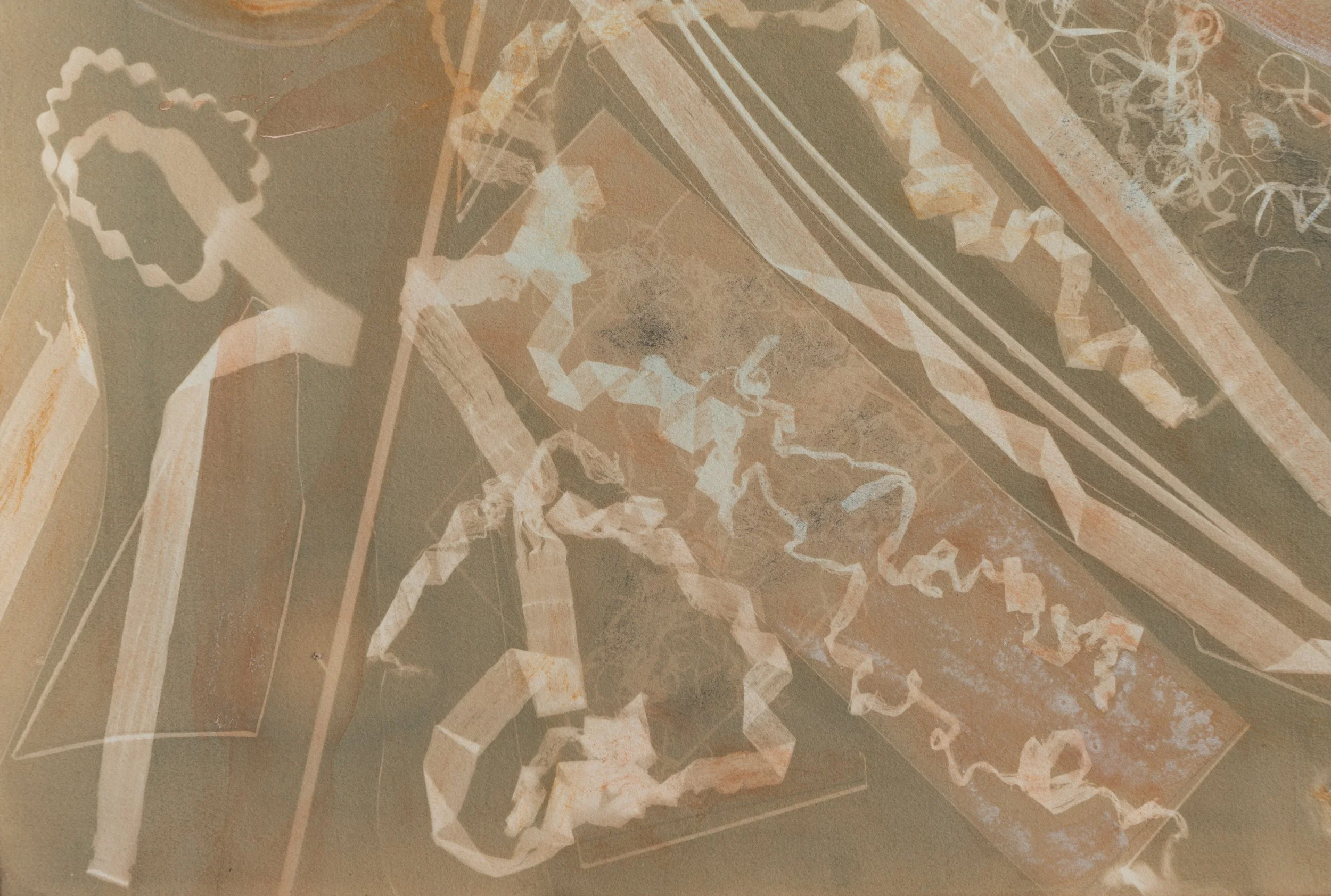 detail Spotting (exposed 6.19.25)