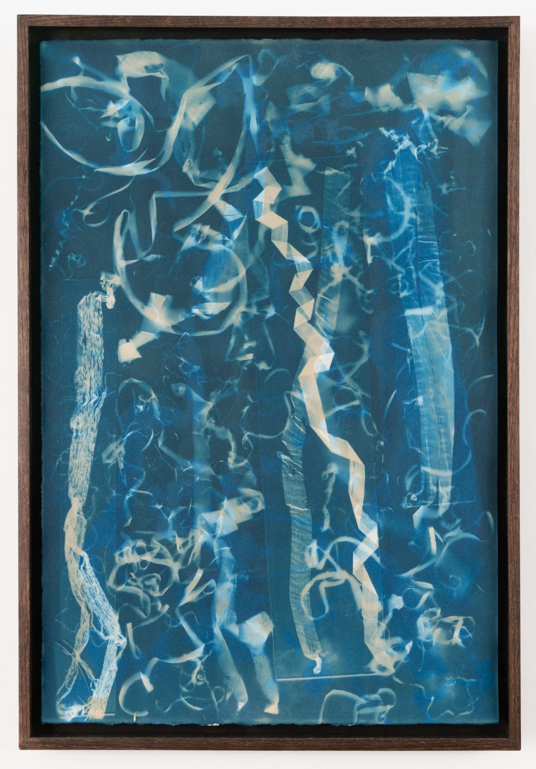Doubled Grain (twice exposed 6.24) cyanotype on paper 22 1/4 x 14 7/8" in artist’s frame of ebonized white oak 23 5/8 × 16 1/8 2024