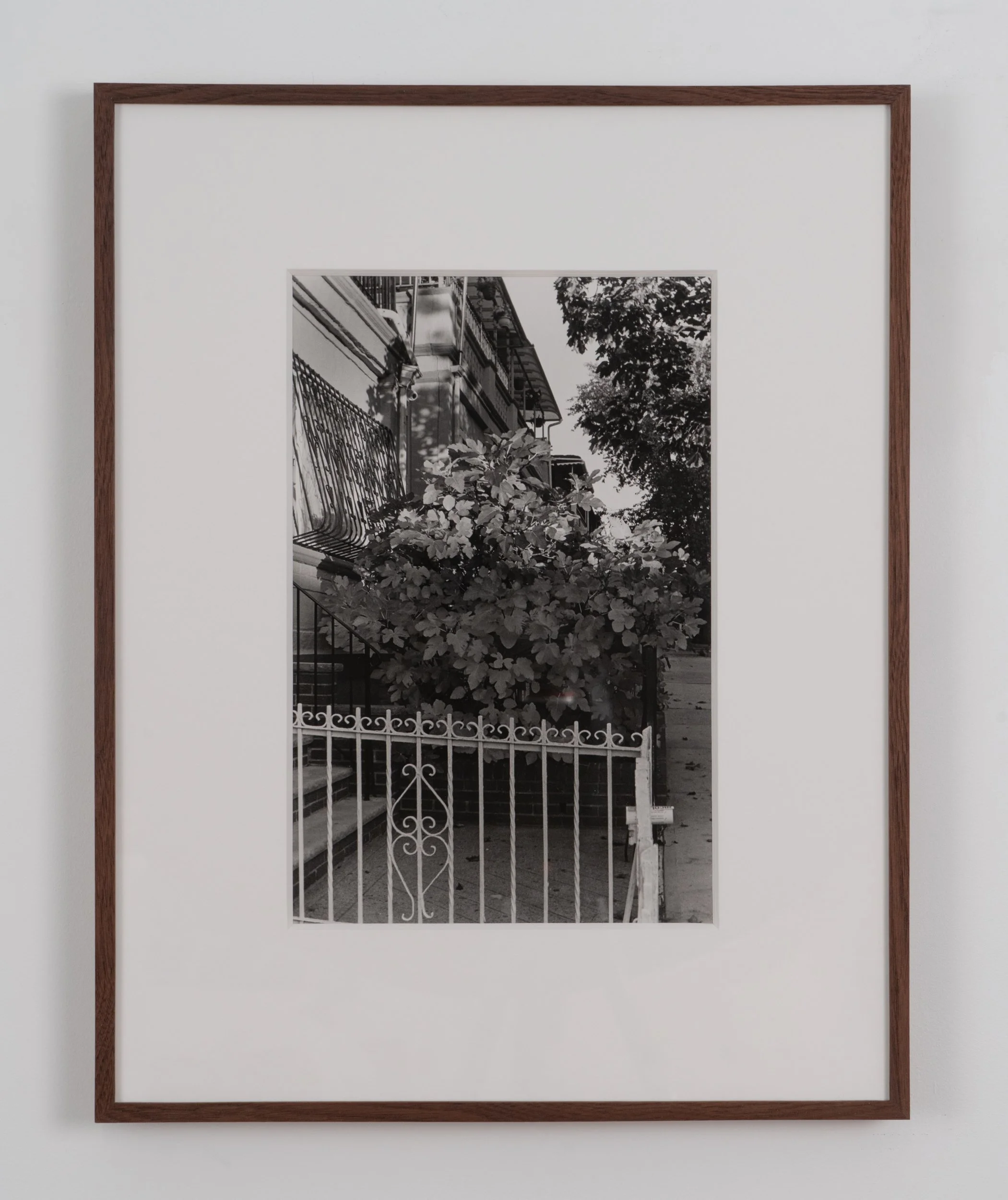 139 79th St., 2022