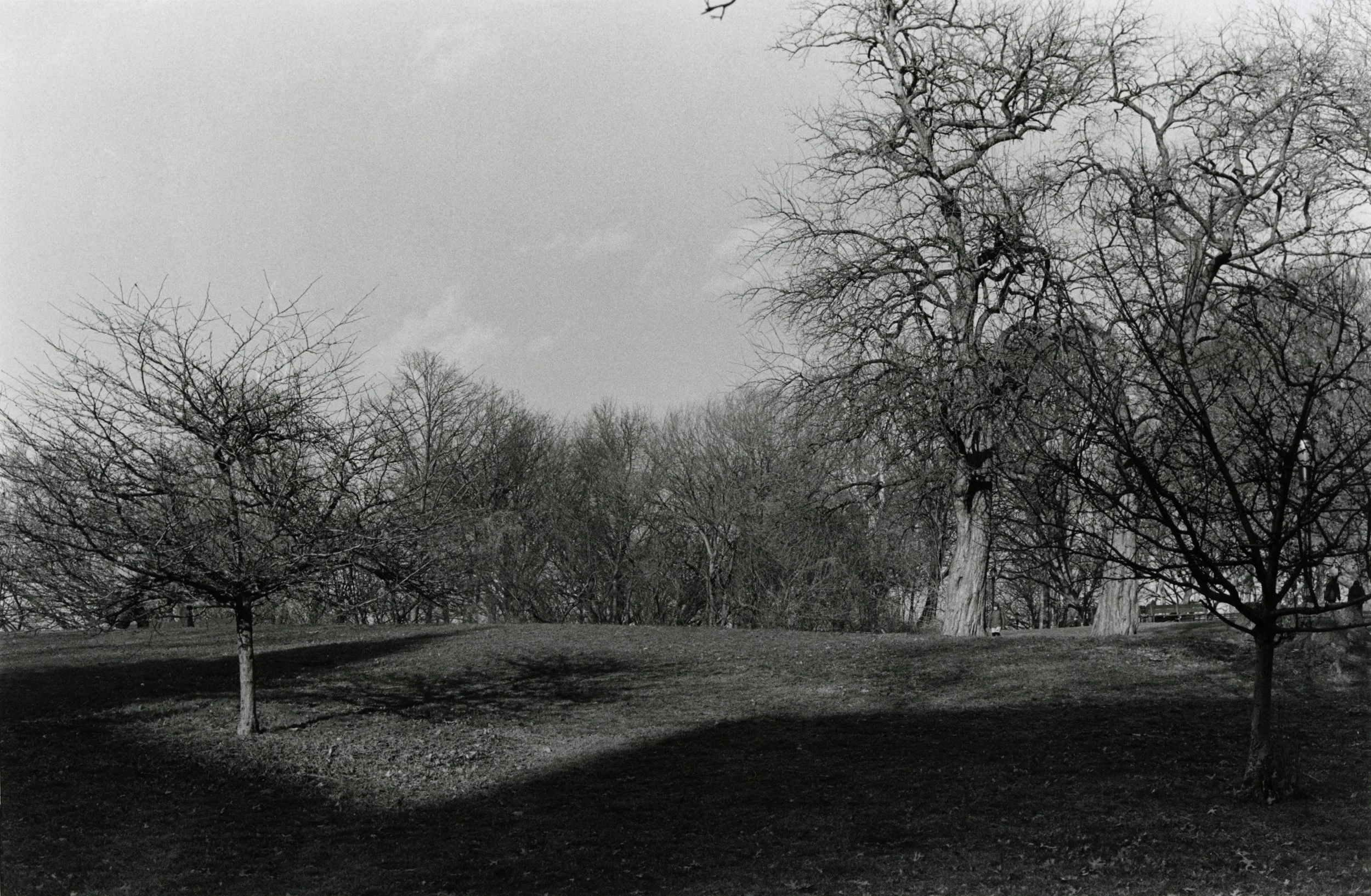 Owl's Head Park, 2023