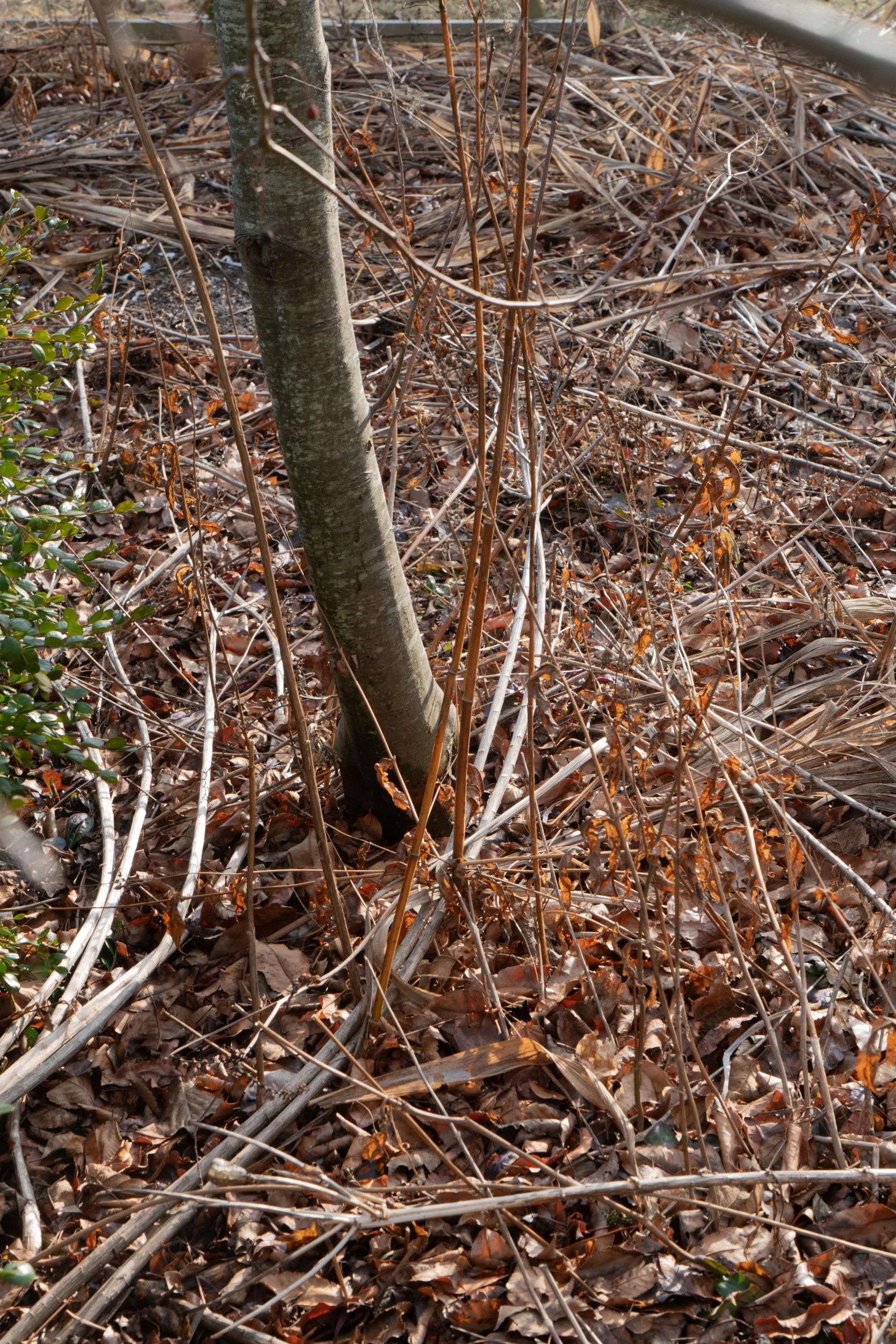 wed-jbmorton-02121.jpg