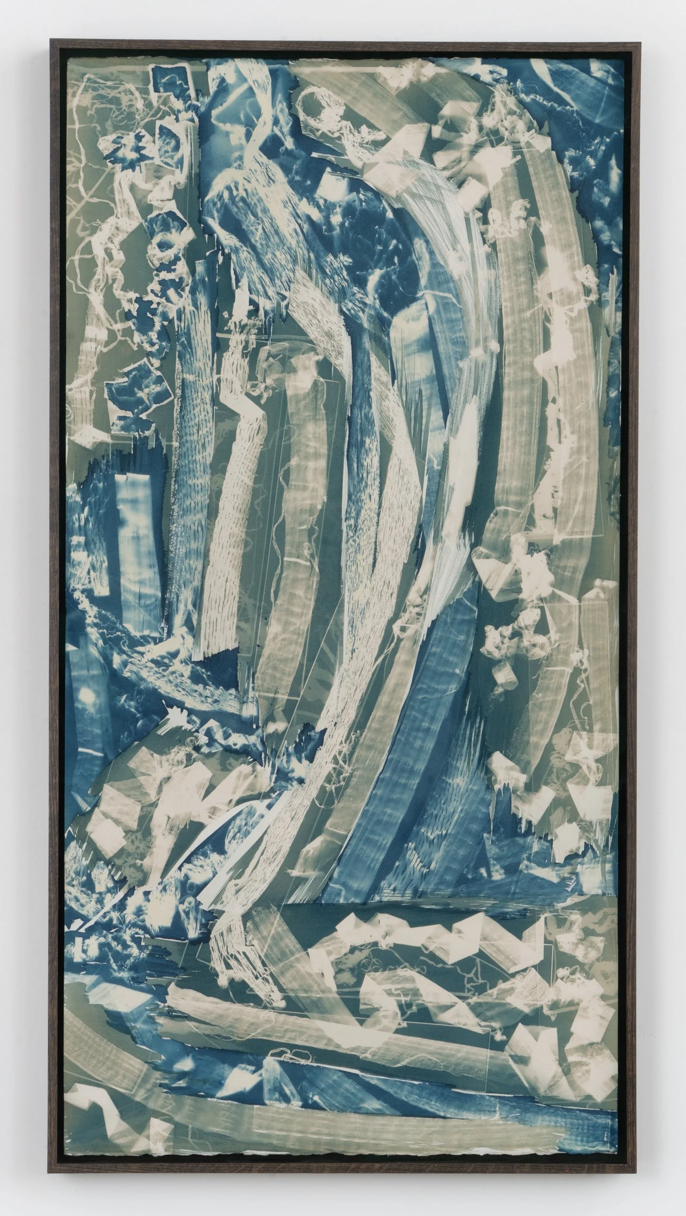   Grain (exposed 10.2/11.25)   cyanotype on paper in ebonized white oak artist’s frame  43 1/4 x 22 5/8”  2025 