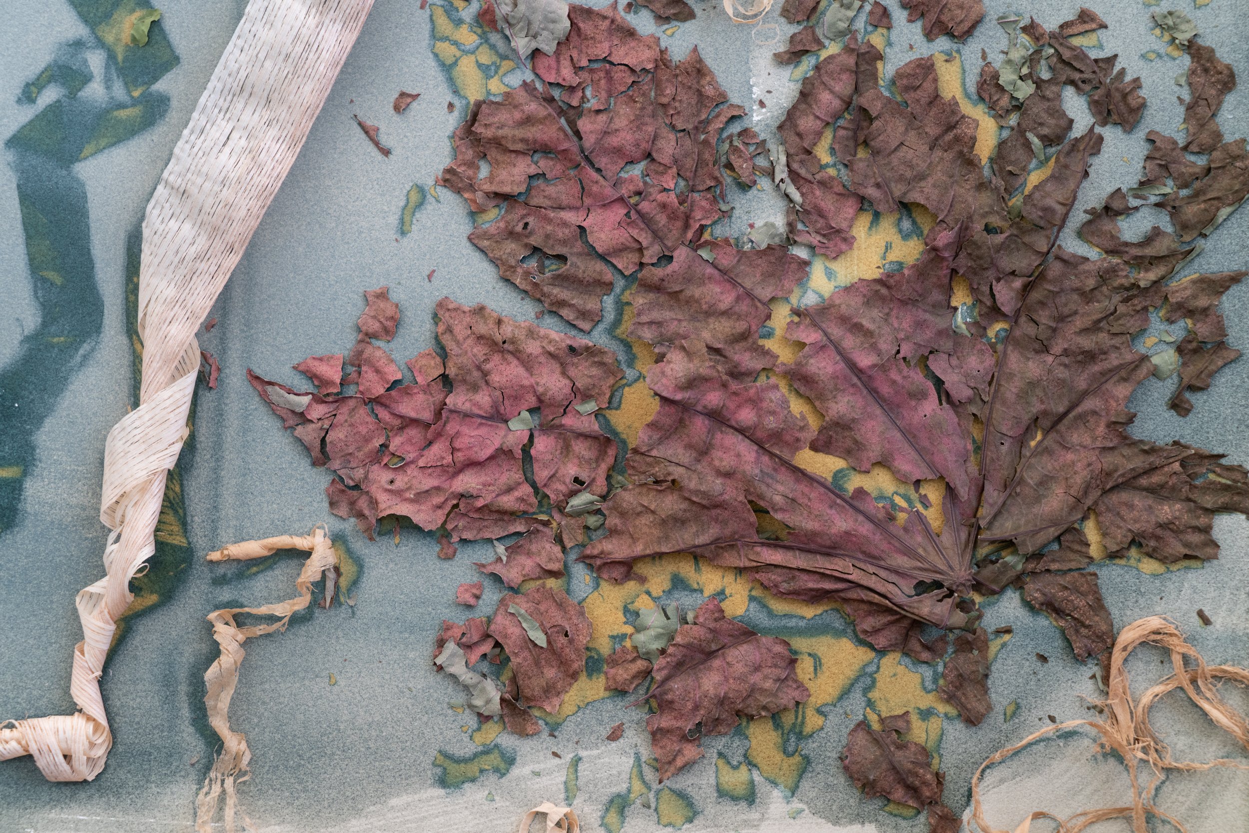  studio view 2/7/25 5:48:42 pm 