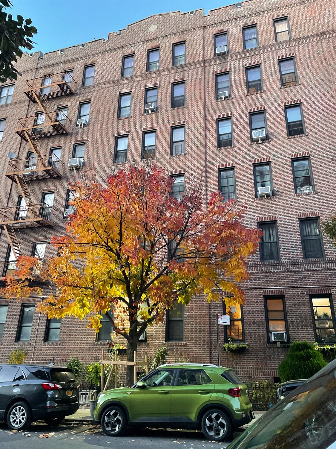 PC1281 10.23.24 6:13:41PM 