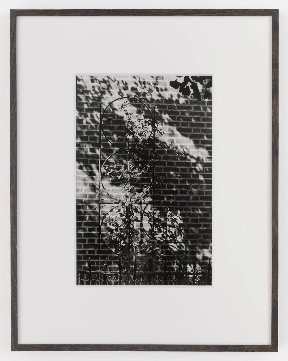 J.B.Morton_RRH_framed (7 of 7).jpg