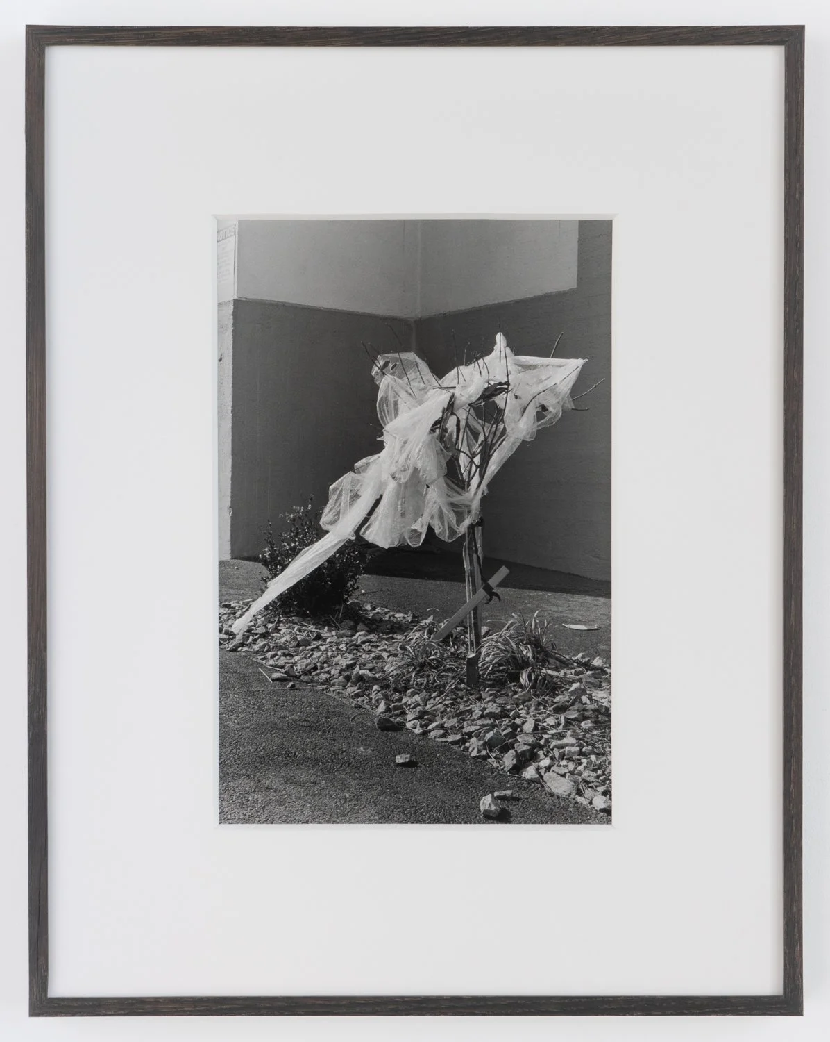 J.B.Morton_RRH_framed (5 of 7).jpg