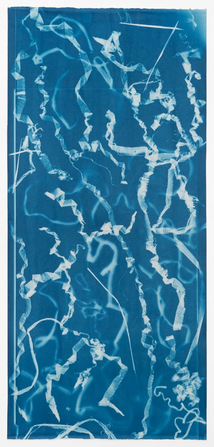   Grain (exposed 8.15.24)   cyanotype on paper   51 5/8 x 23 7/8"  2024 