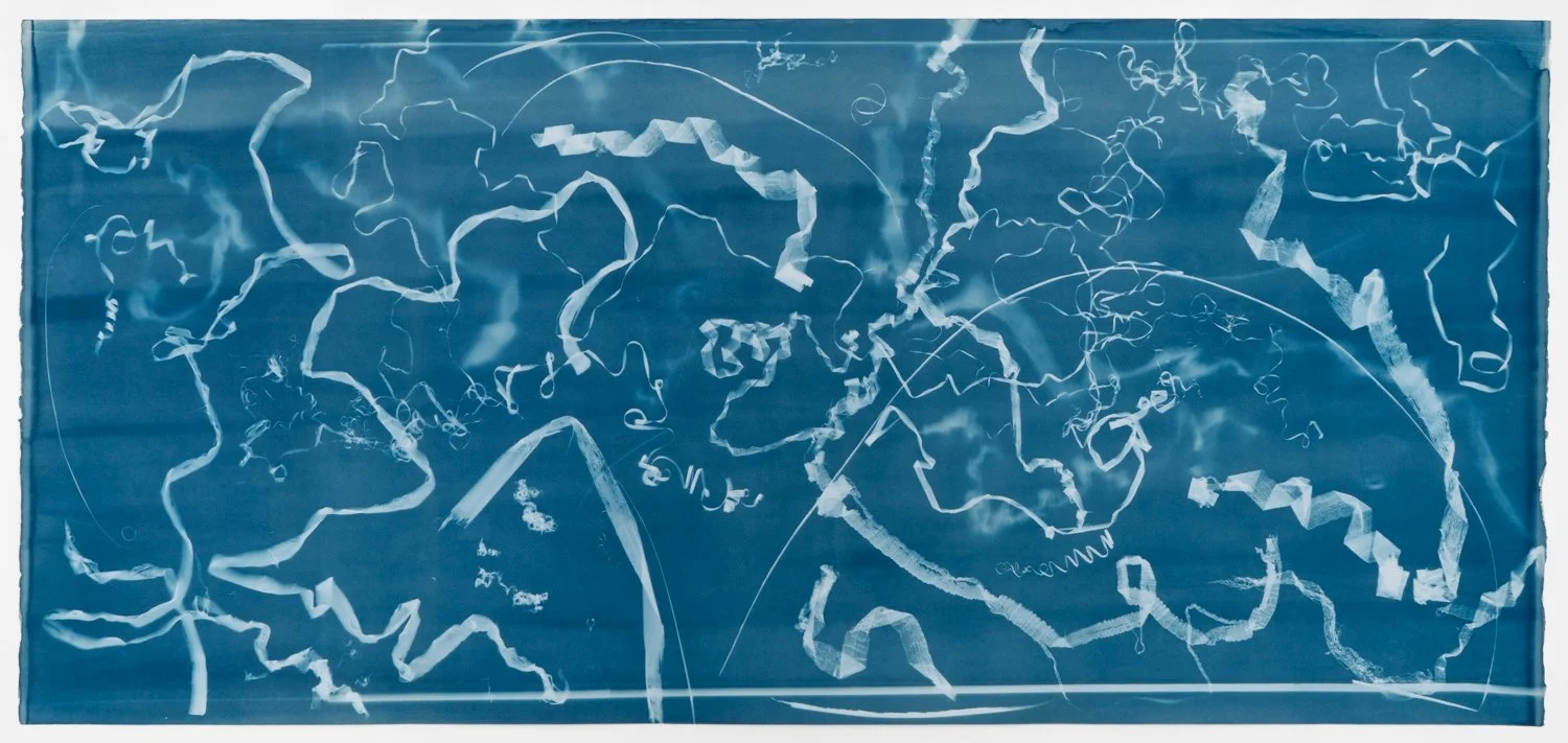   Grain (exposed 8.14.24)   cyanotype on paper  23 7/8 x 51 1/2"  2024 