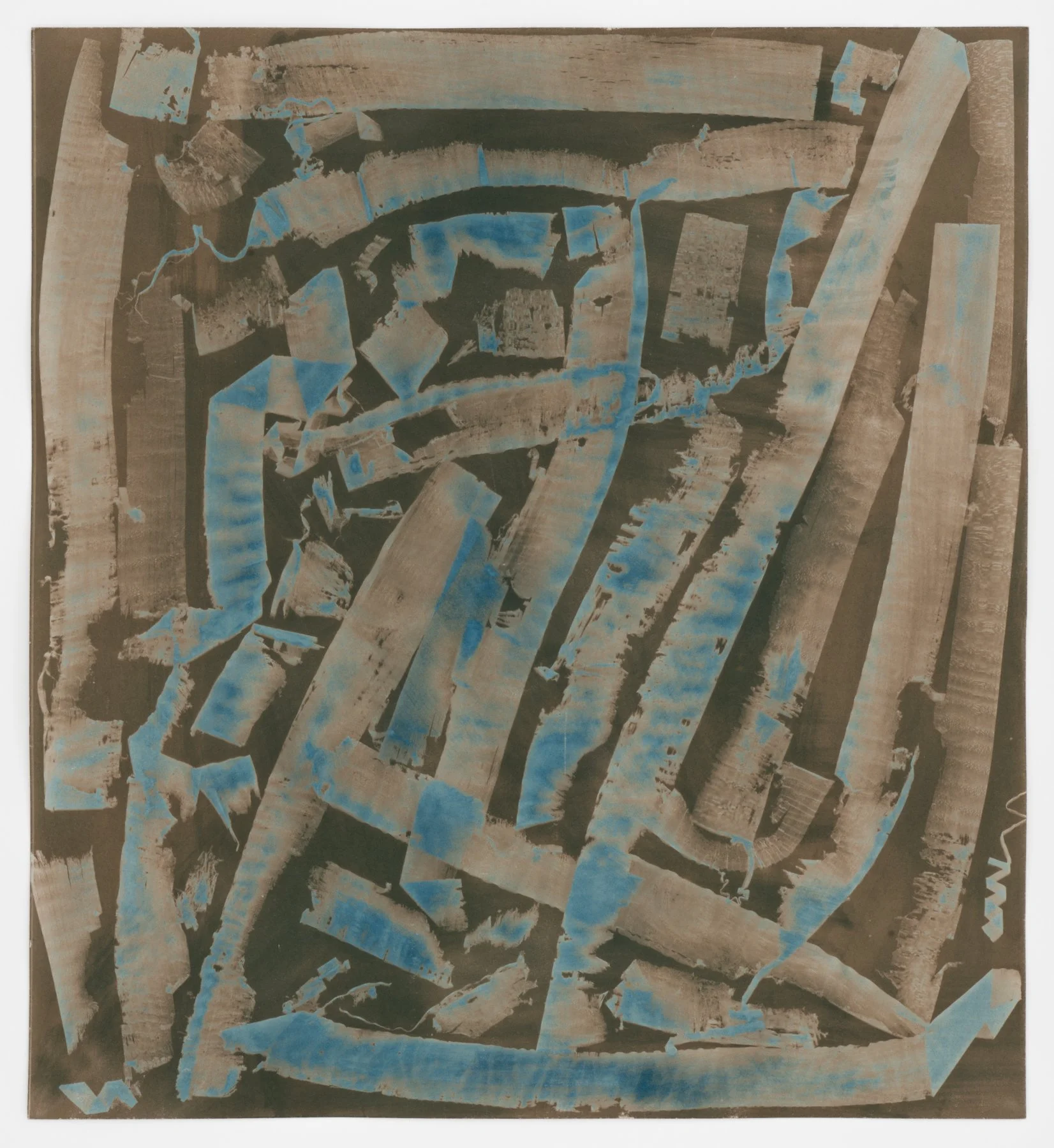   Grain   cyanotype on paper  24 × 22”  2026 