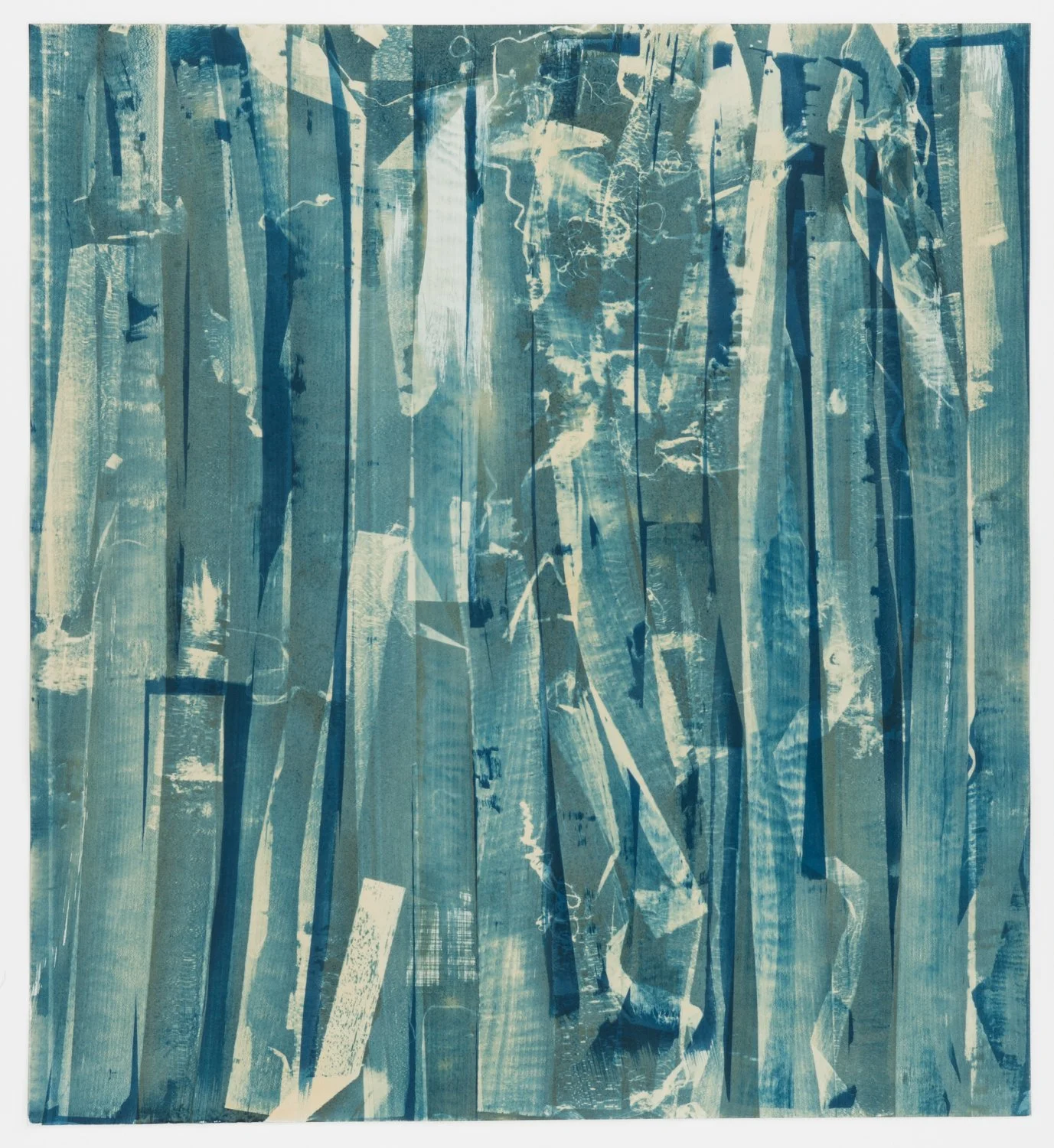   Grain   cyanotype on paper  24 × 22”  2026 