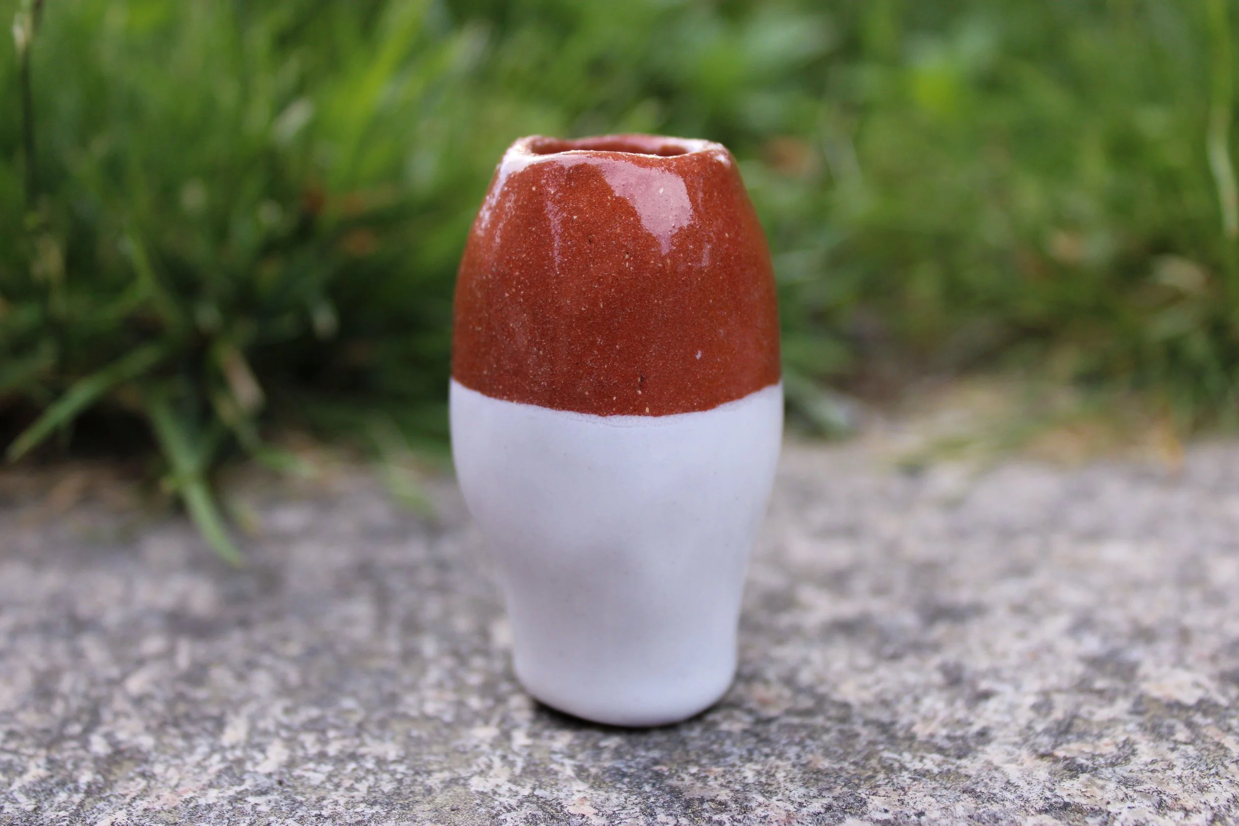 IMG_3684.jpg