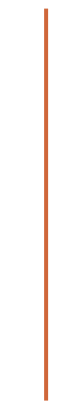 Image shows an orange straw or stick against a white background.