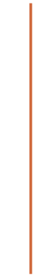 A vertical orange line on a plain black background.